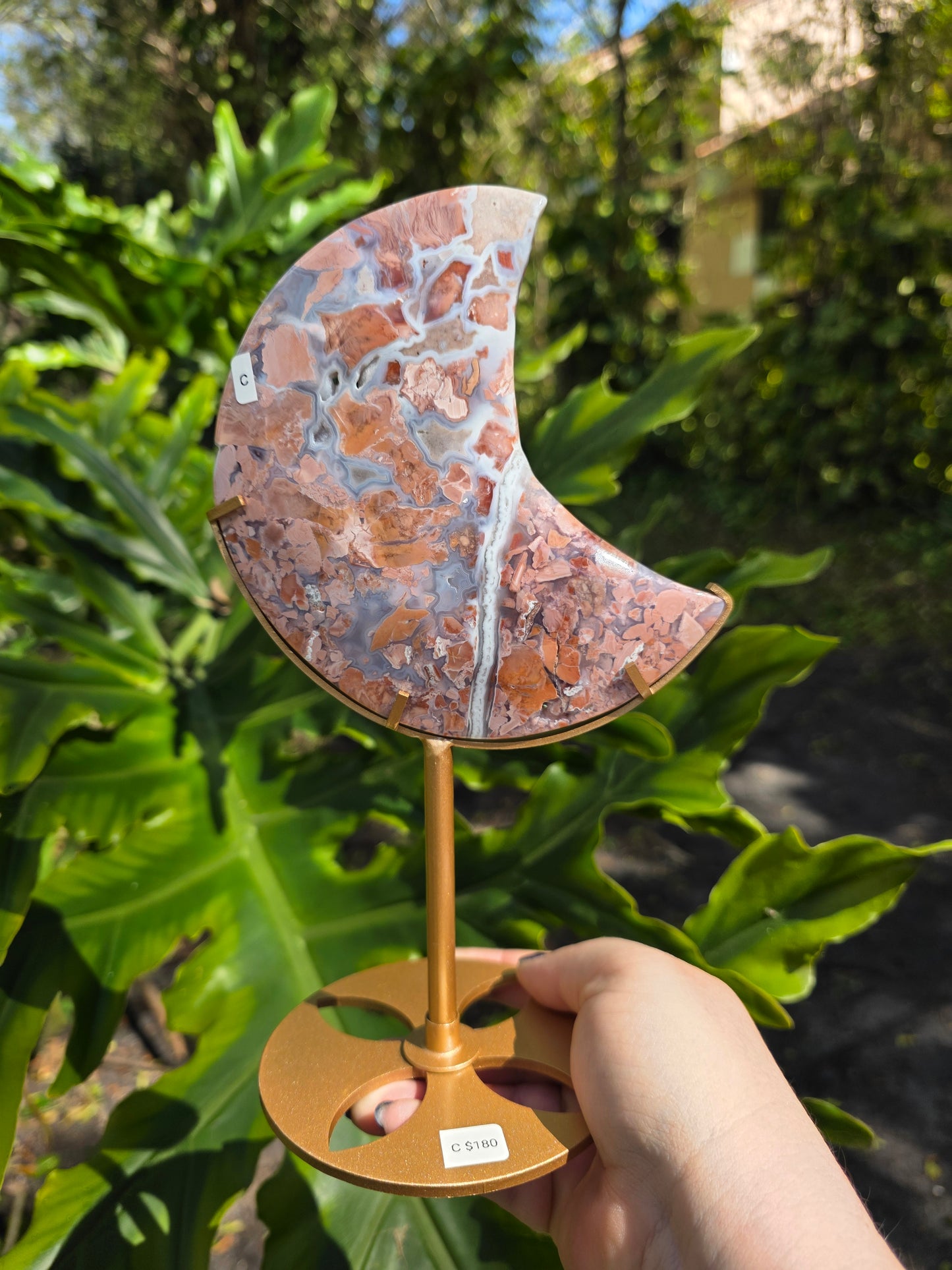 Cotton Candy Agate Crescent Moon • Option C