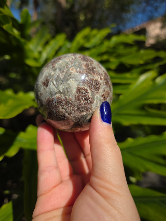 Sakura Jasper Sphere • Option A