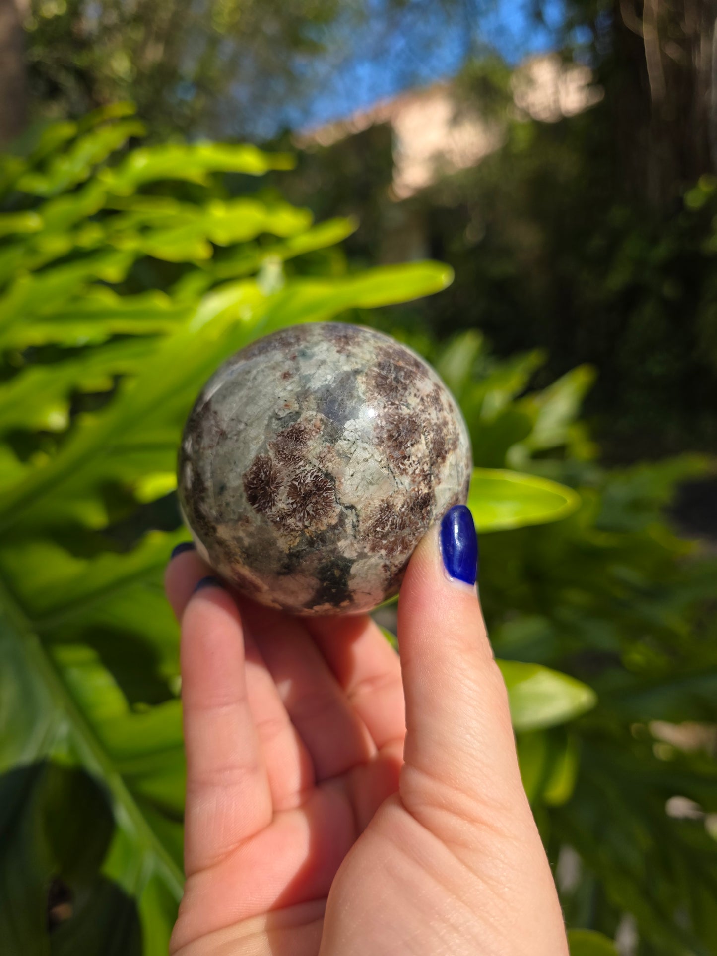 Sakura Jasper Sphere • Option B