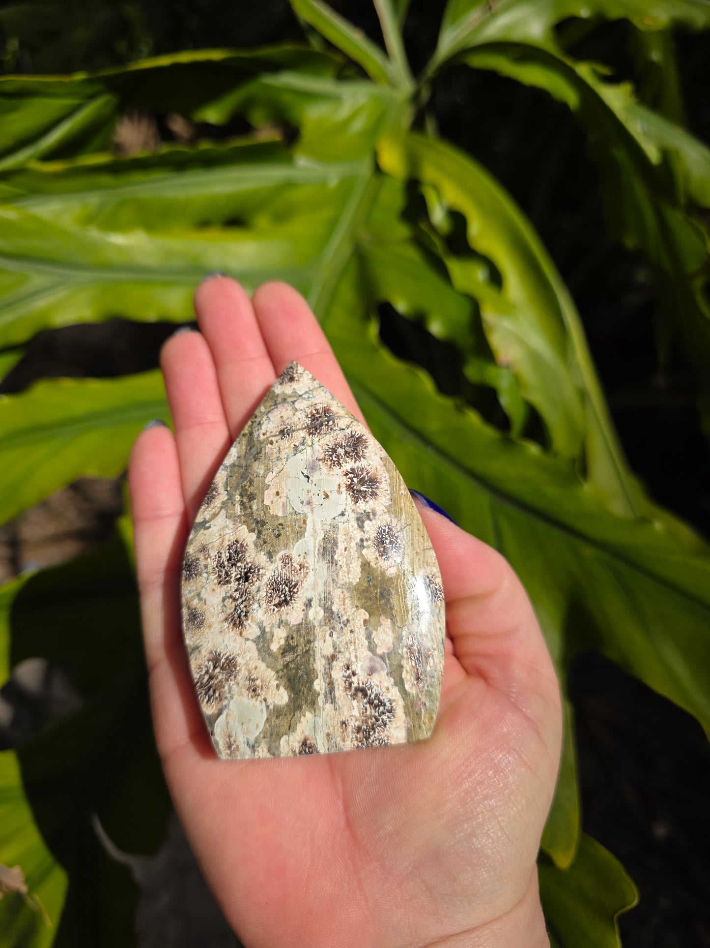 Sakura Jasper Flame • Option A