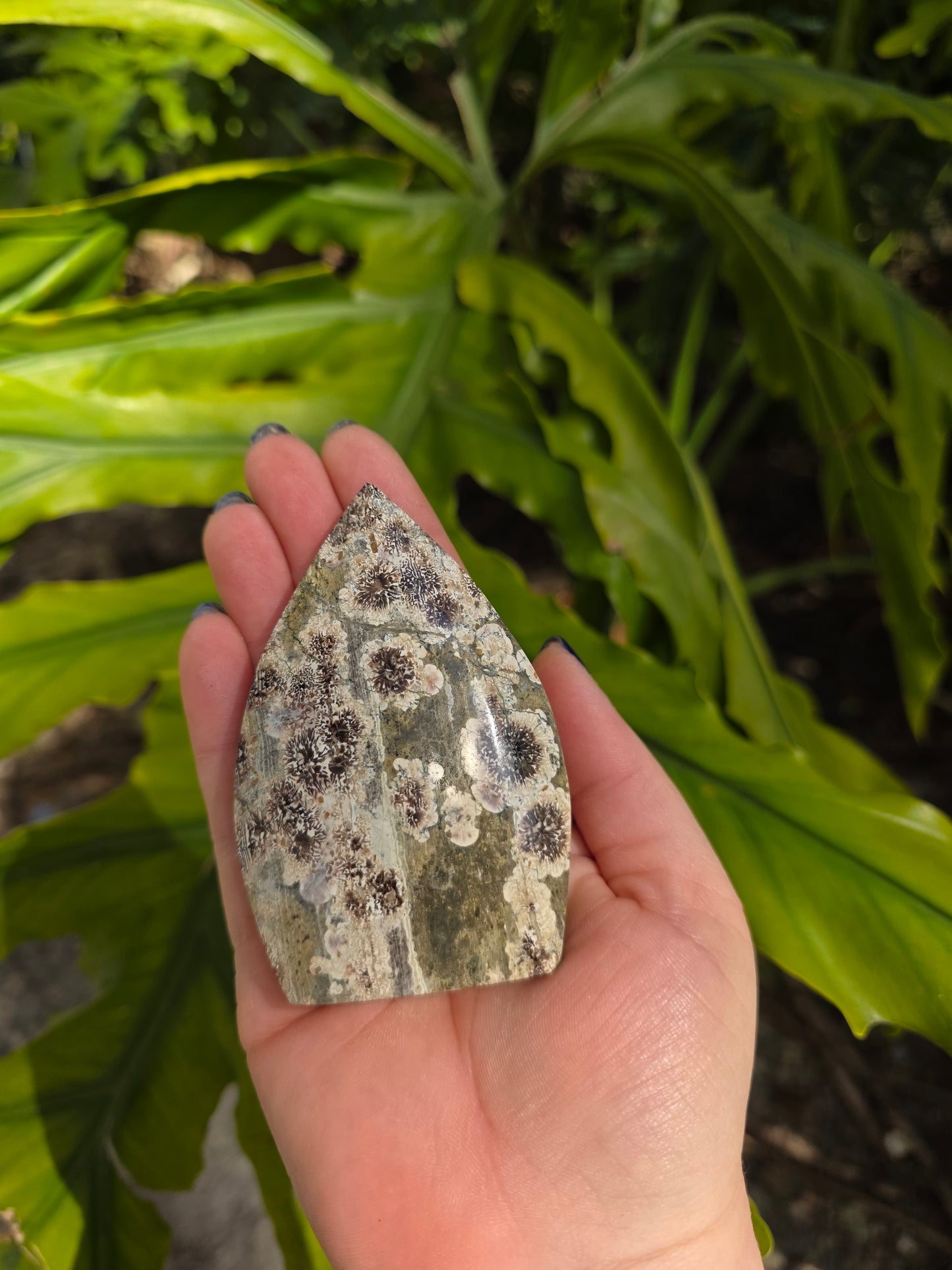 Sakura Jasper Flame • Option A