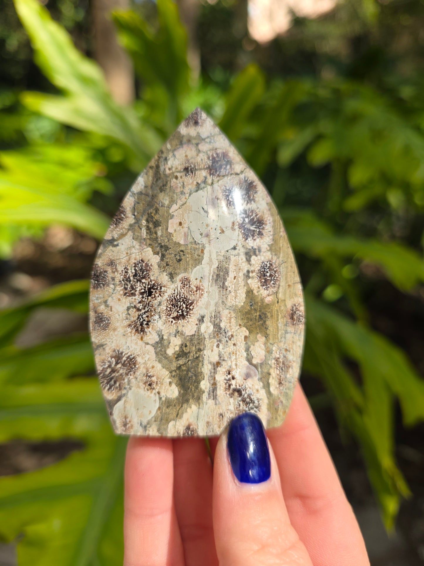 Sakura Jasper Flame • Option A