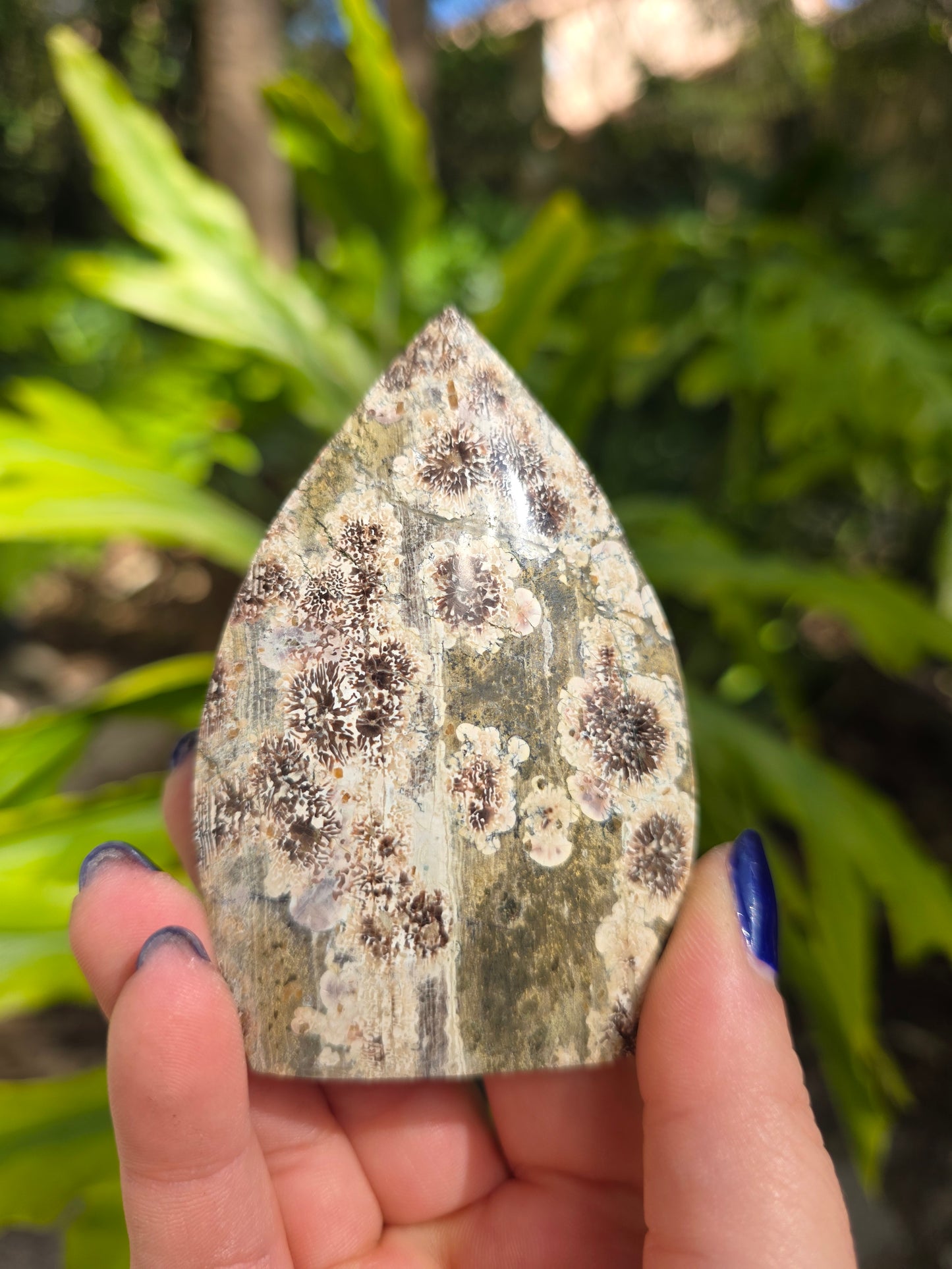 Sakura Jasper Flame • Option A
