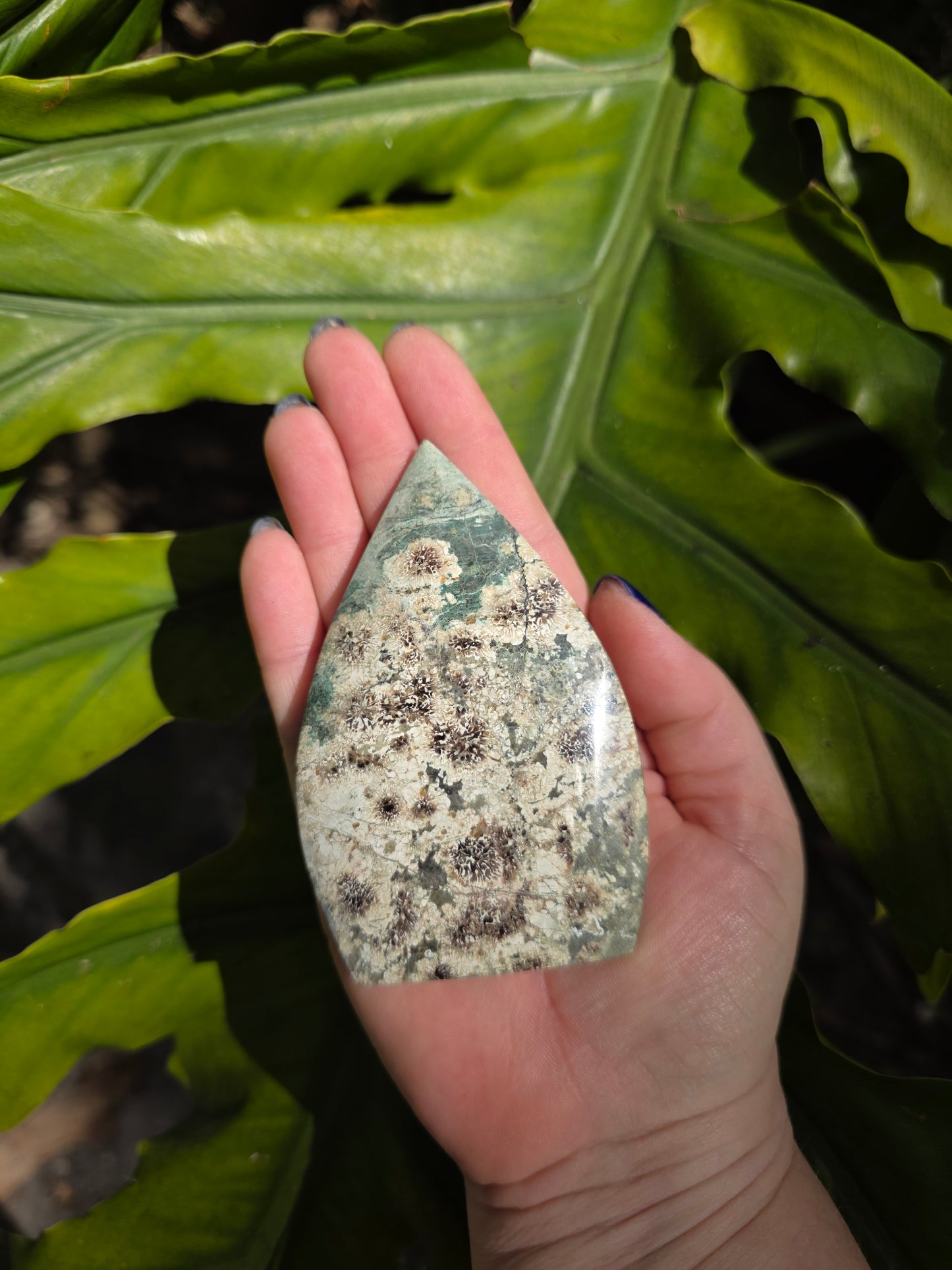 Sakura Jasper Flame • Option B