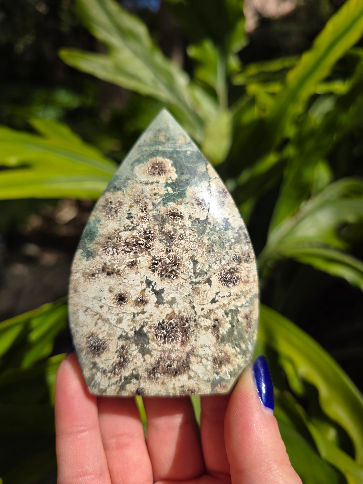 Sakura Jasper Flame • Option B