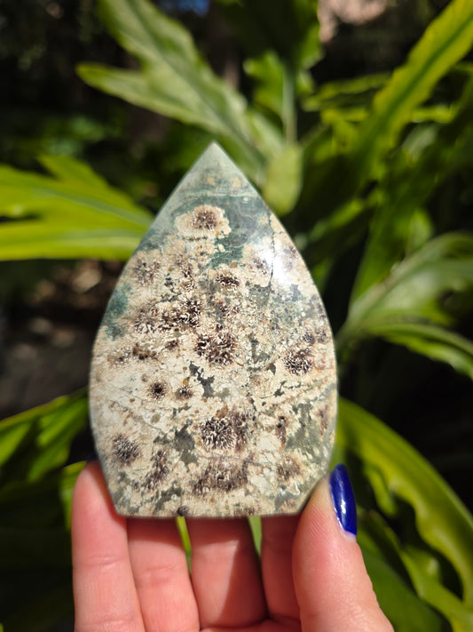 Sakura Jasper Flame • Option B