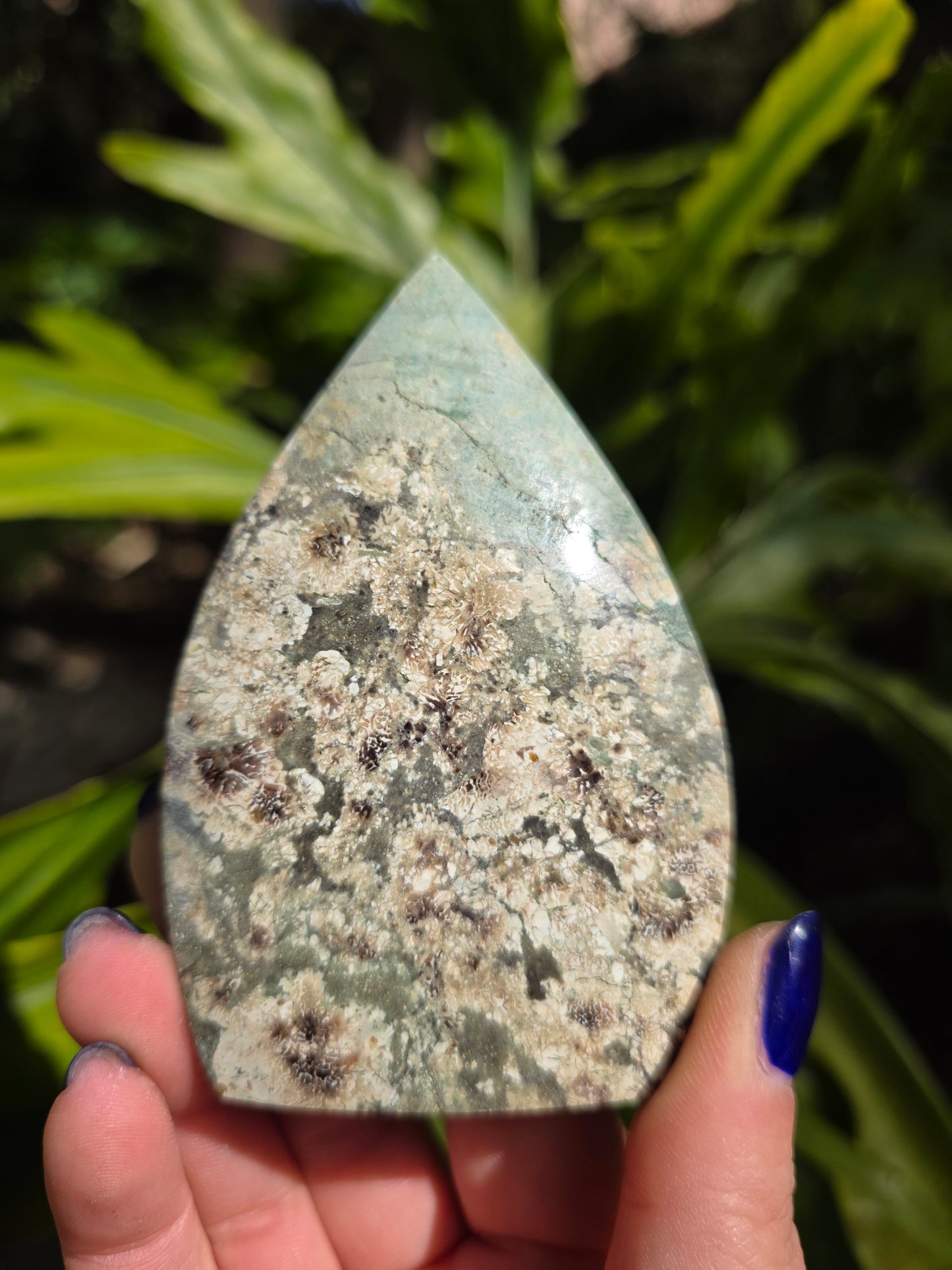 Sakura Jasper Flame • Option B