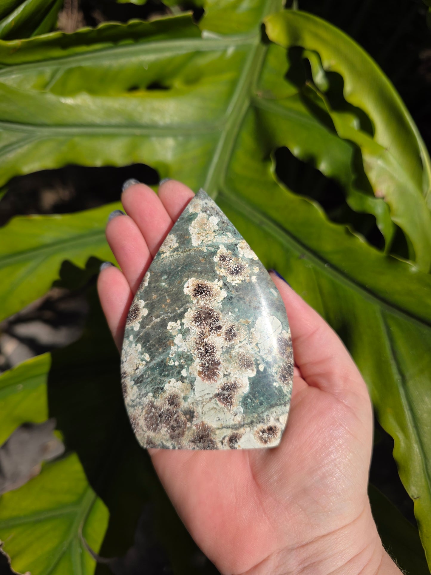 Sakura Jasper Flame • Option C