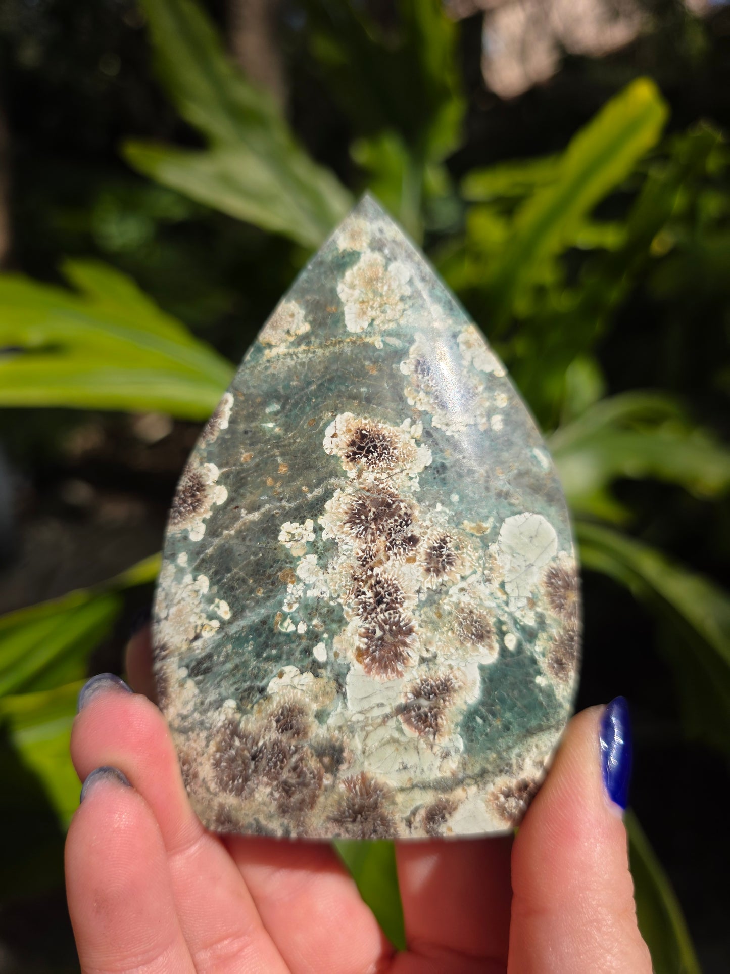Sakura Jasper Flame • Option C