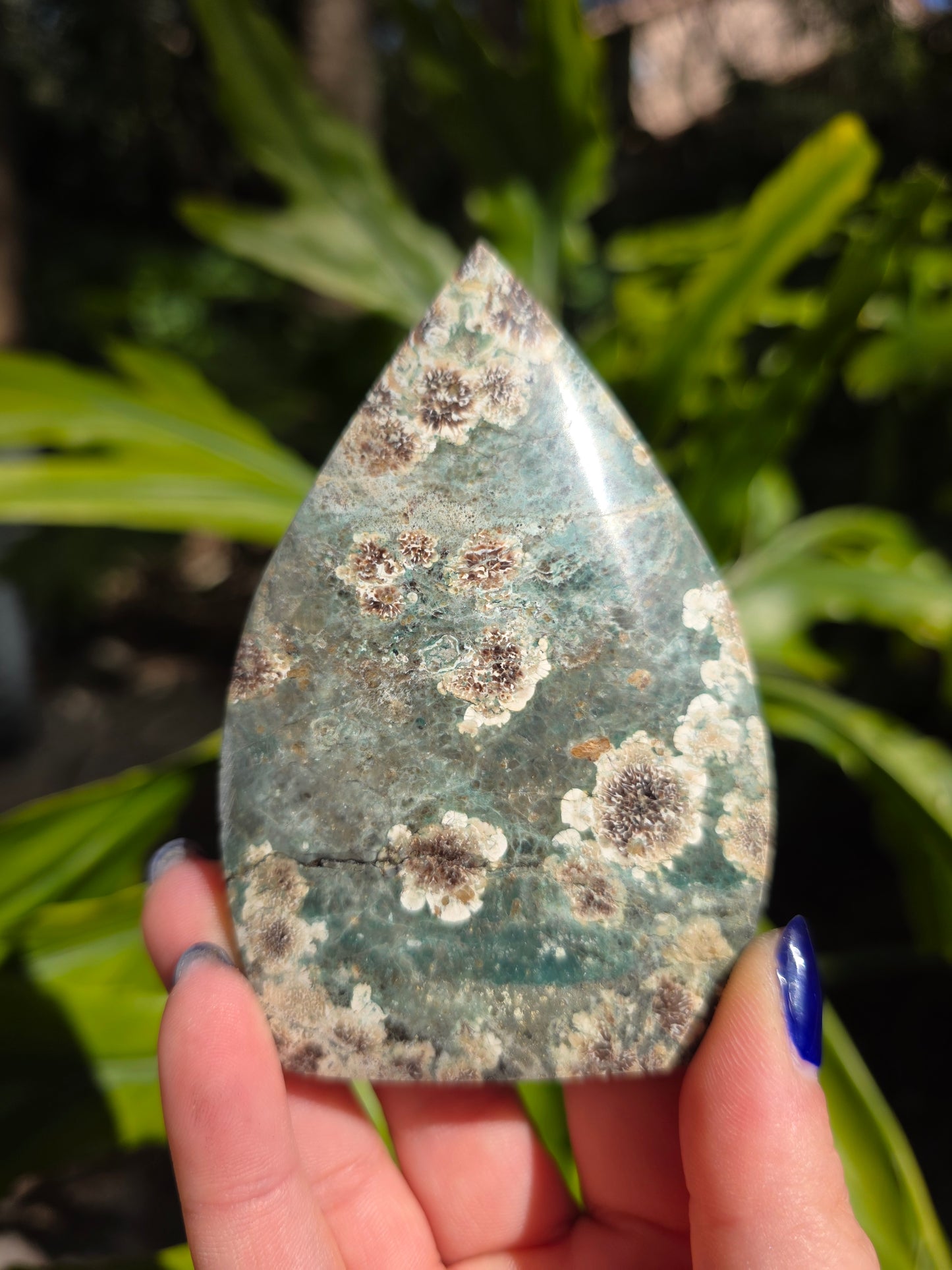 Sakura Jasper Flame • Option C