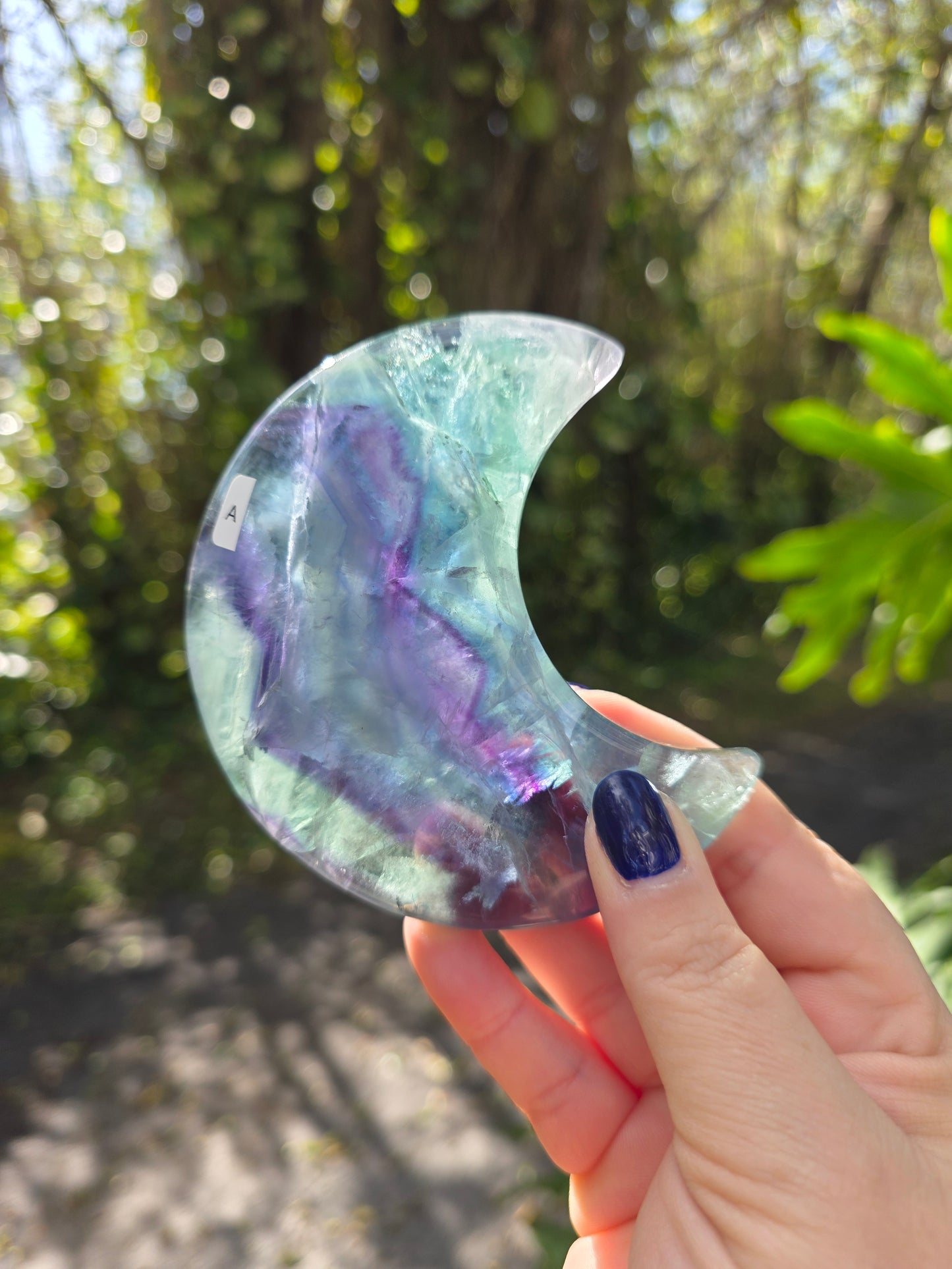 Rainbow Fluorite Crescent Moon • Option A