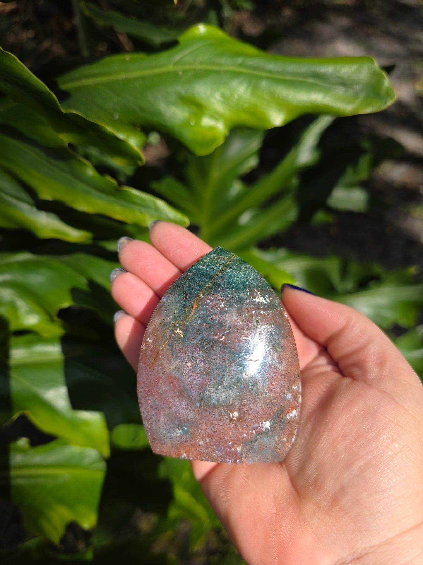 Veinless Ocean Jasper Teardrop • Option A • Madagascar