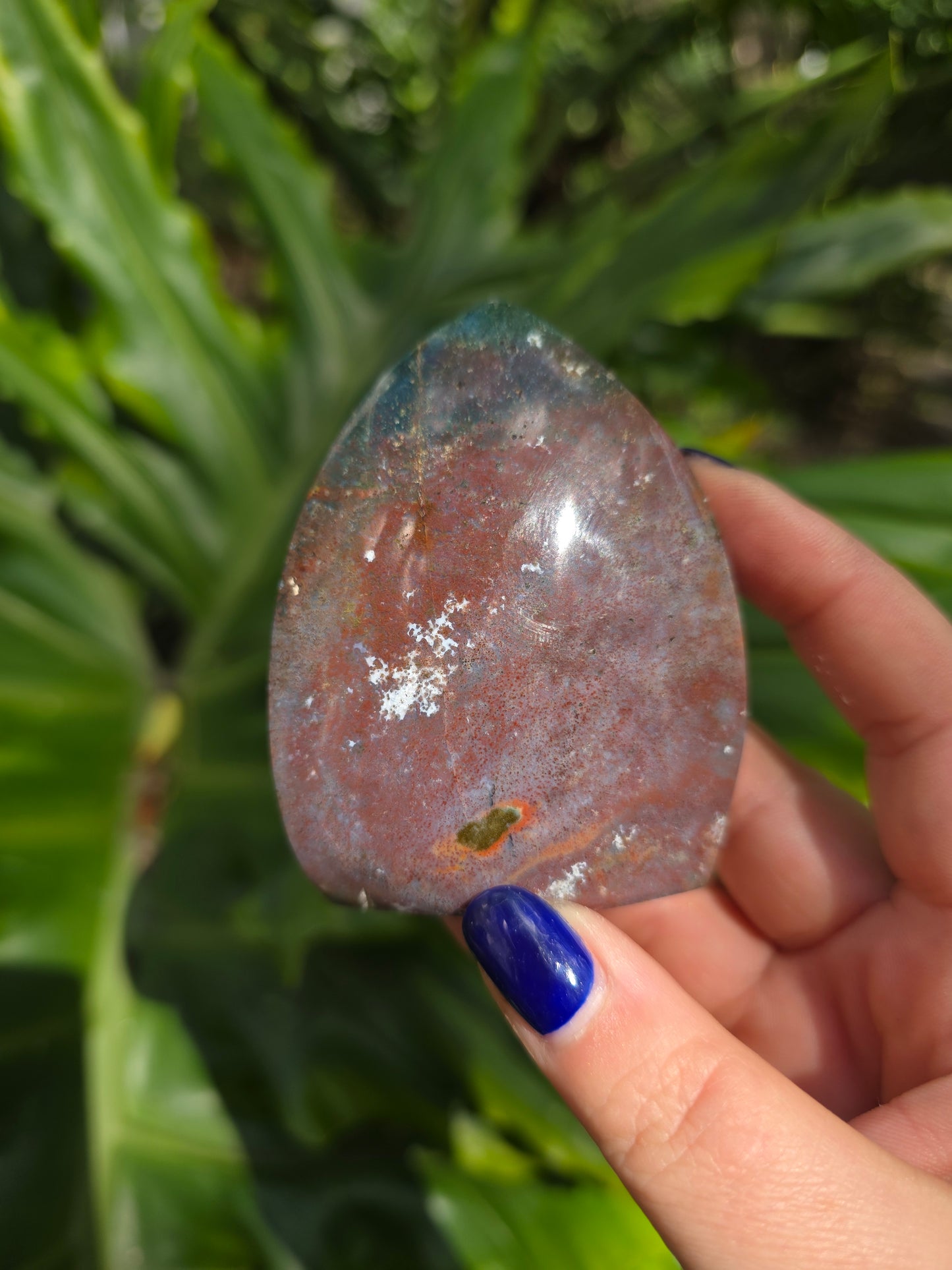 Veinless Ocean Jasper Teardrop • Option A • Madagascar