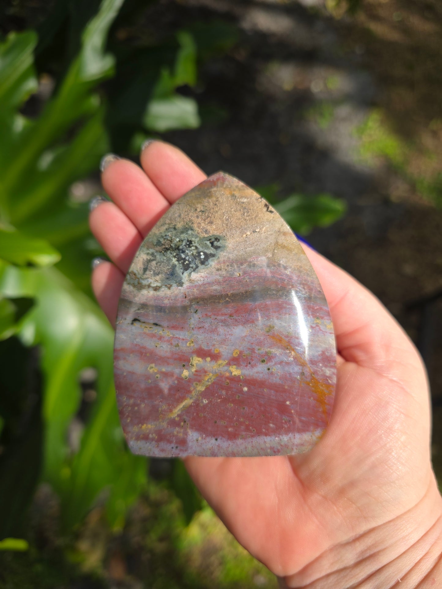 Veinless Ocean Jasper Teardrop • Option B • Madagascar