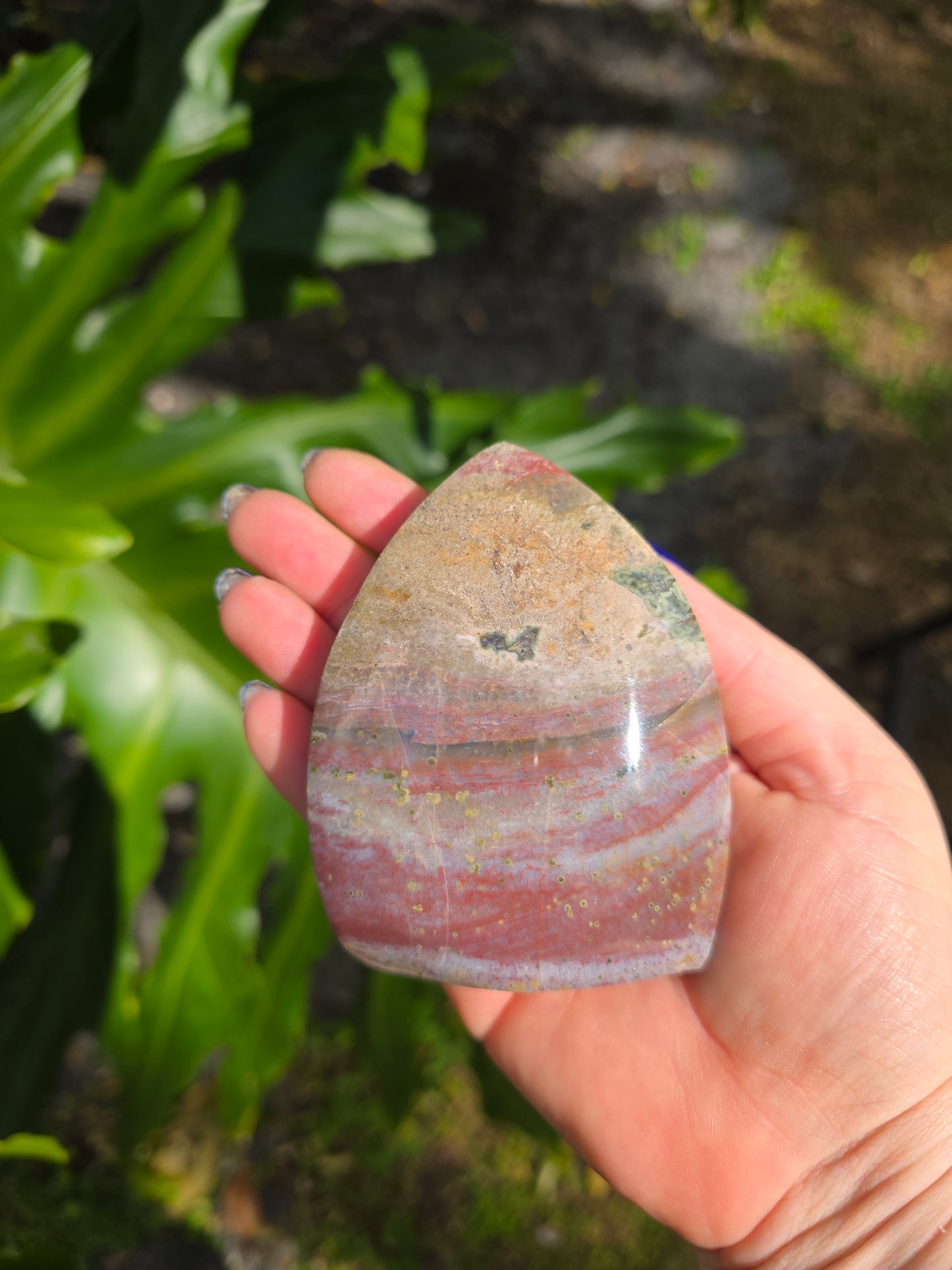 Veinless Ocean Jasper Teardrop • Option B • Madagascar