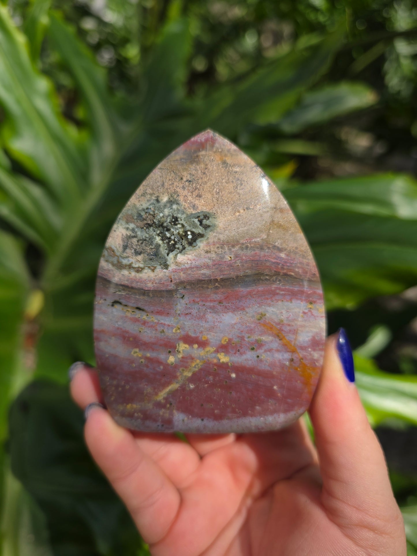 Veinless Ocean Jasper Teardrop • Option B • Madagascar