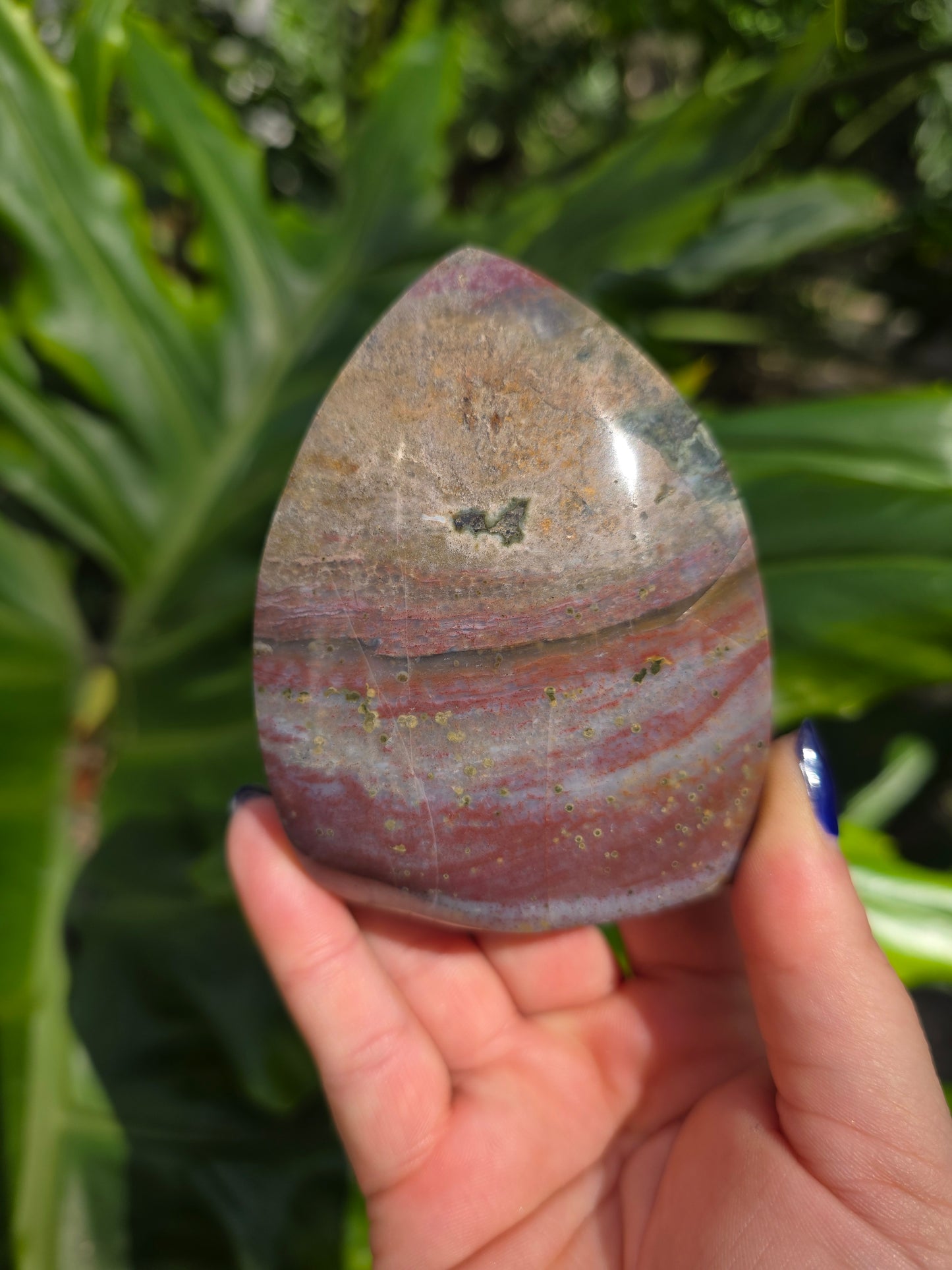 Veinless Ocean Jasper Teardrop • Option B • Madagascar