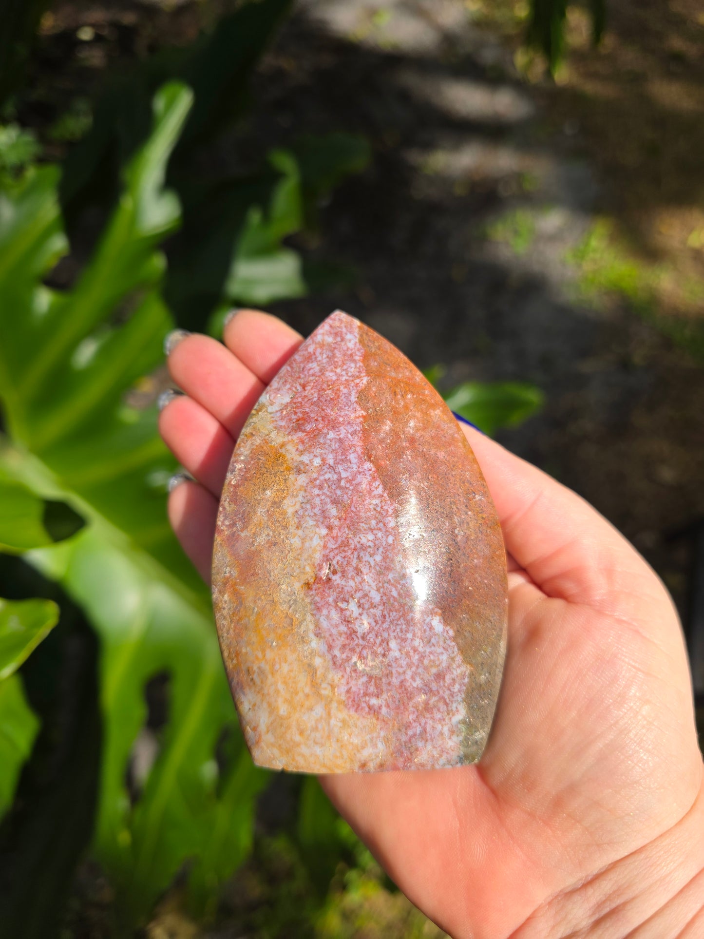 Veinless Ocean Jasper Teardrop • Option C • Madagascar