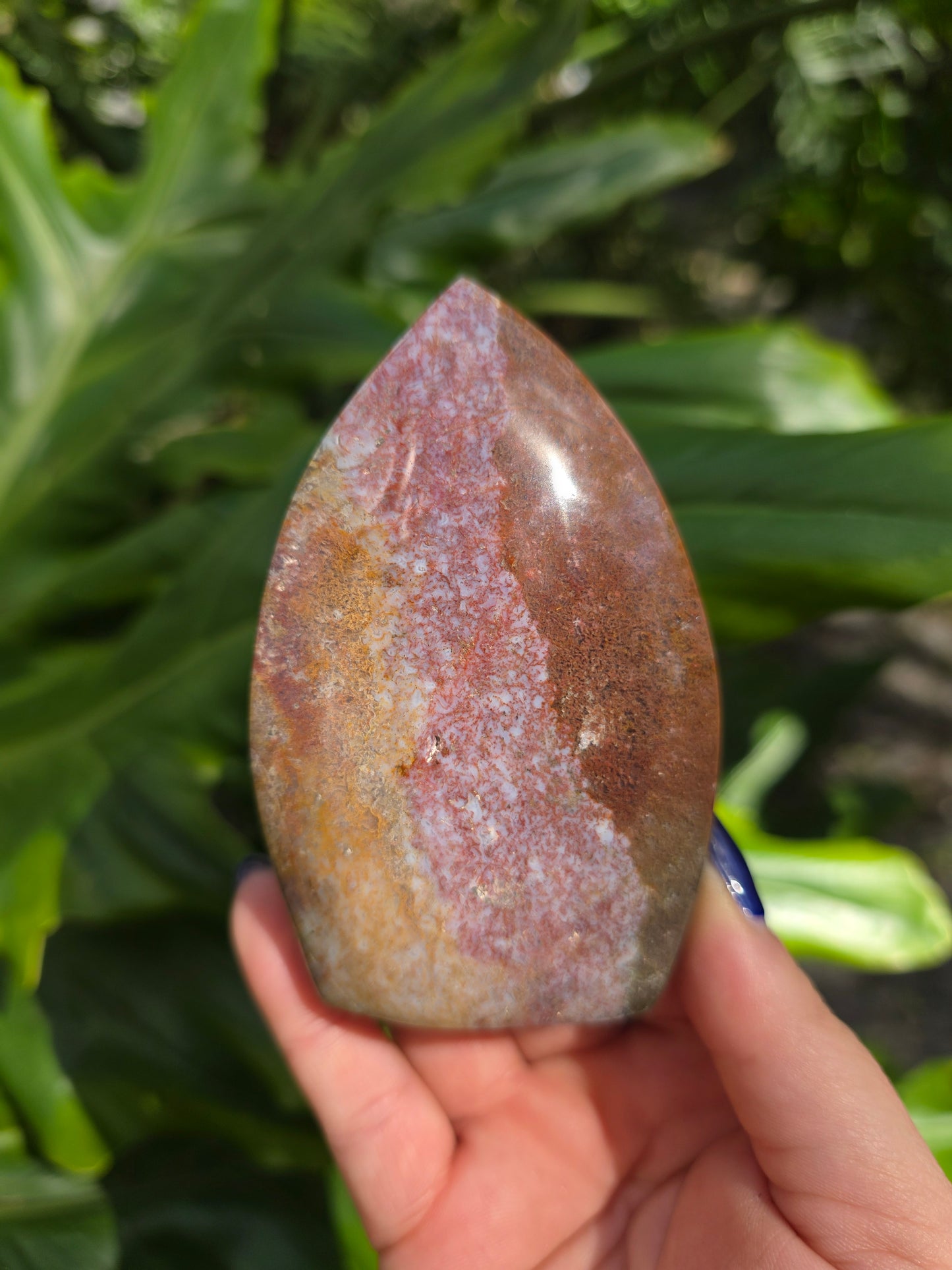 Veinless Ocean Jasper Teardrop • Option C • Madagascar