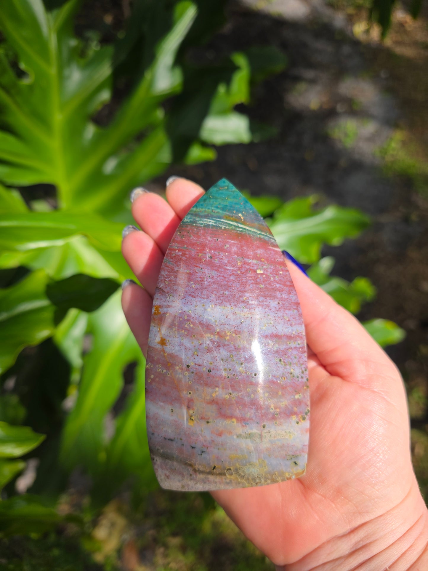 Veinless Ocean Jasper Teardrop • Option D • Madagascar
