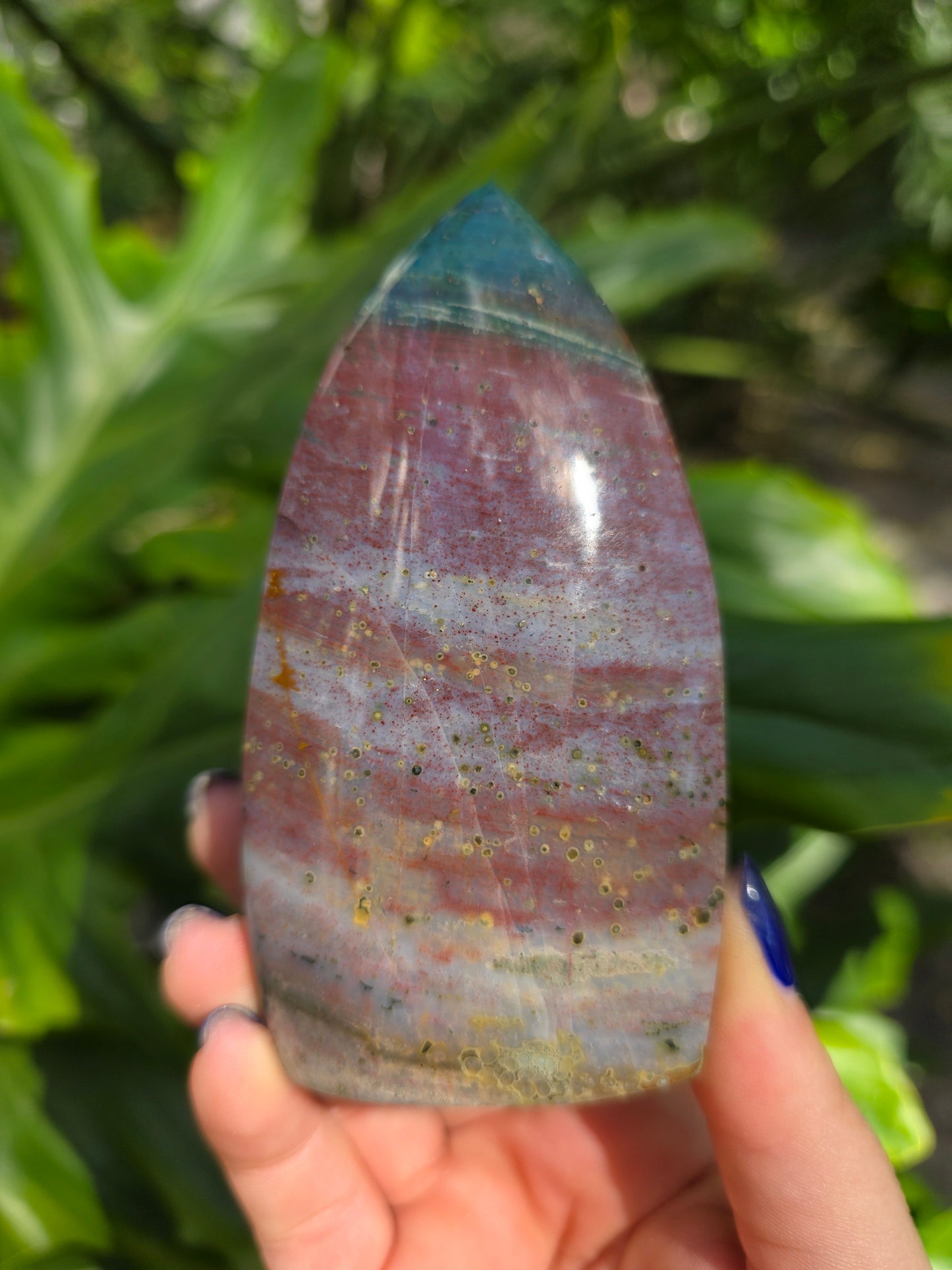 Veinless Ocean Jasper Teardrop • Option D • Madagascar