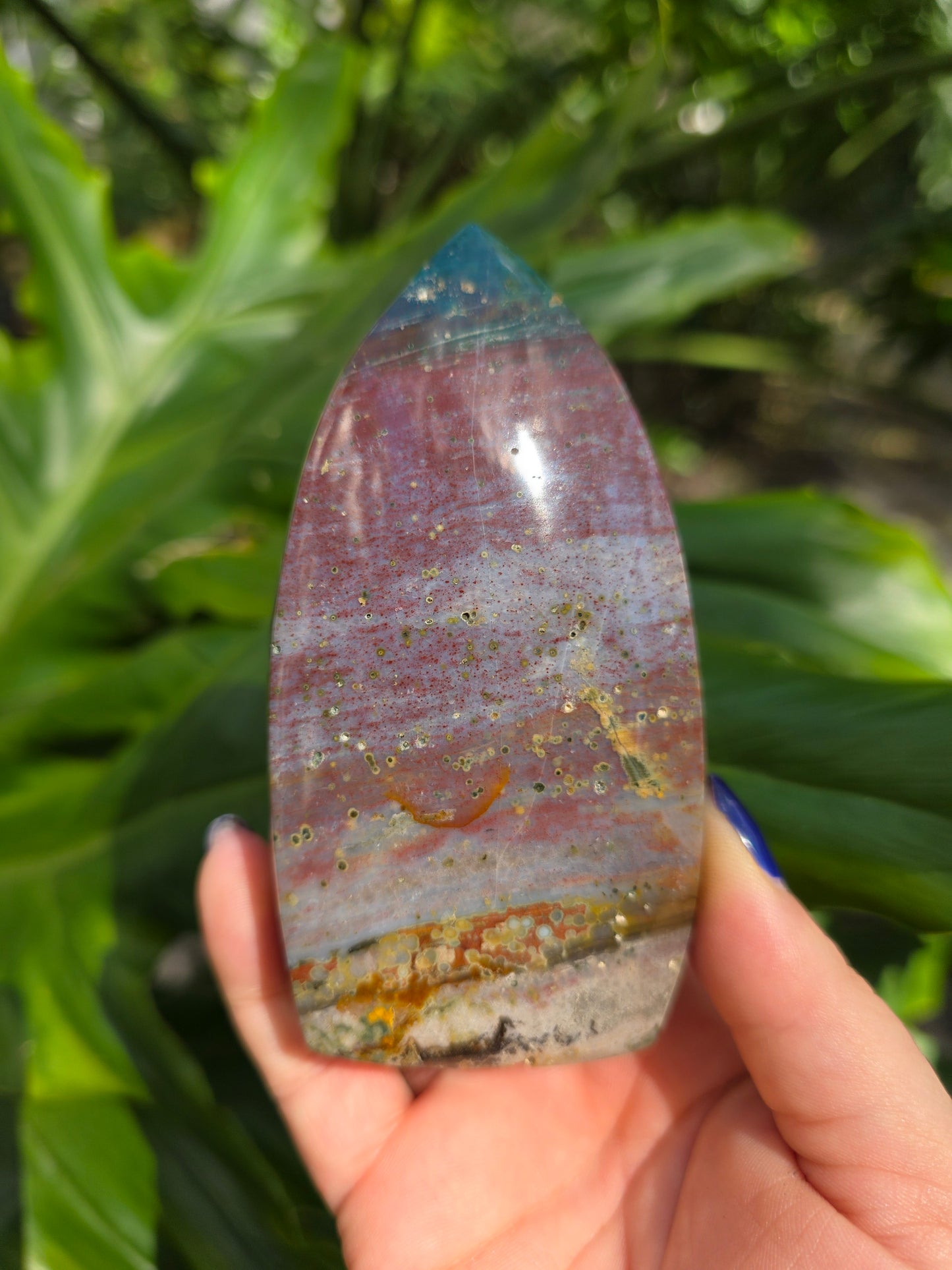 Veinless Ocean Jasper Teardrop • Option D • Madagascar