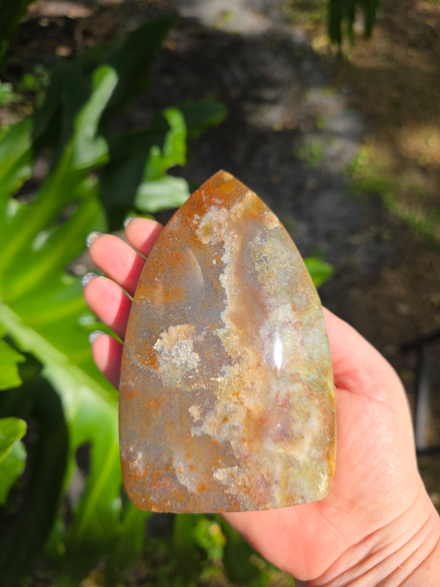 Veinless Ocean Jasper Teardrop • Option E • Madagascar