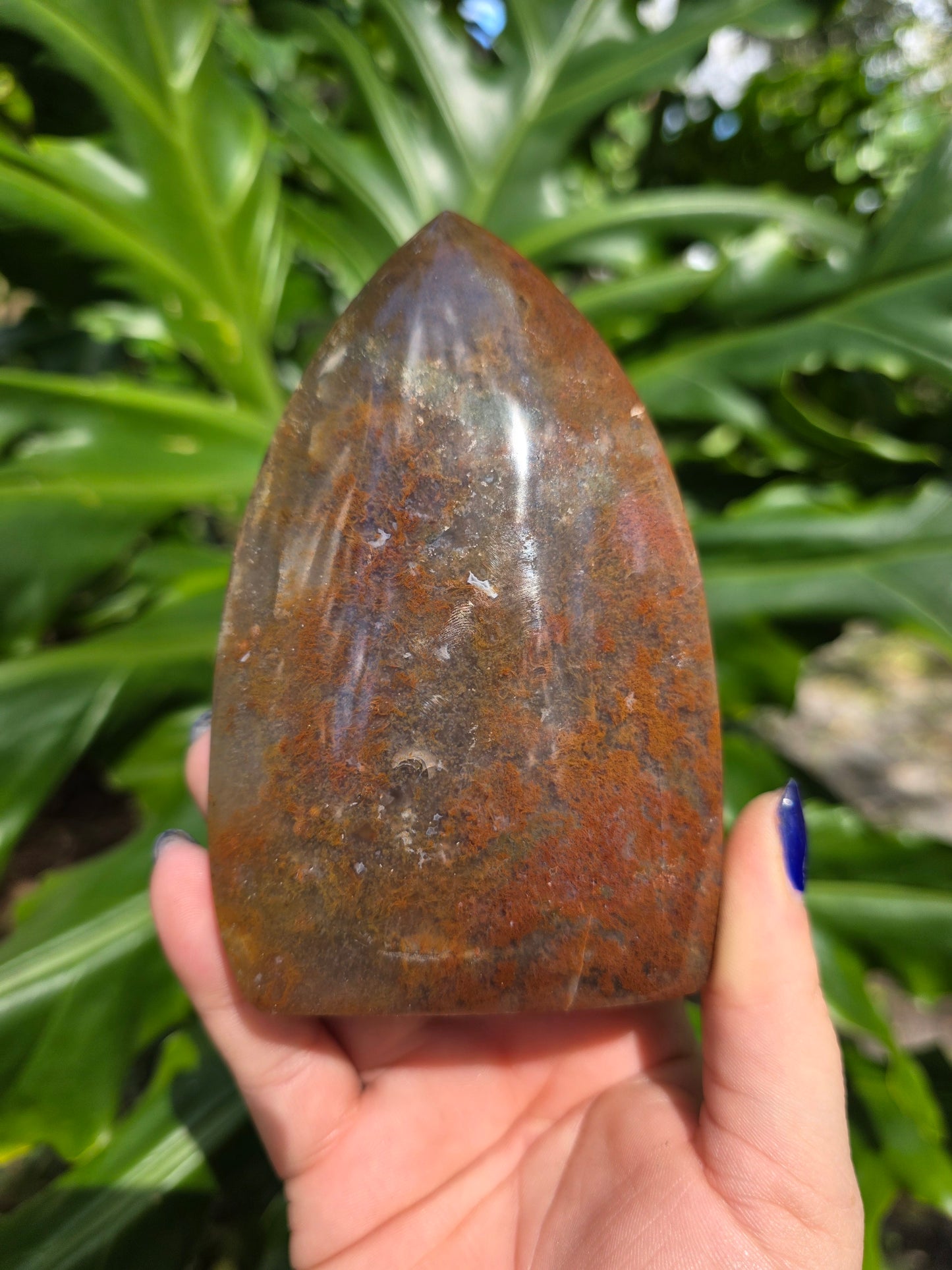 Veinless Ocean Jasper Teardrop • Option E • Madagascar