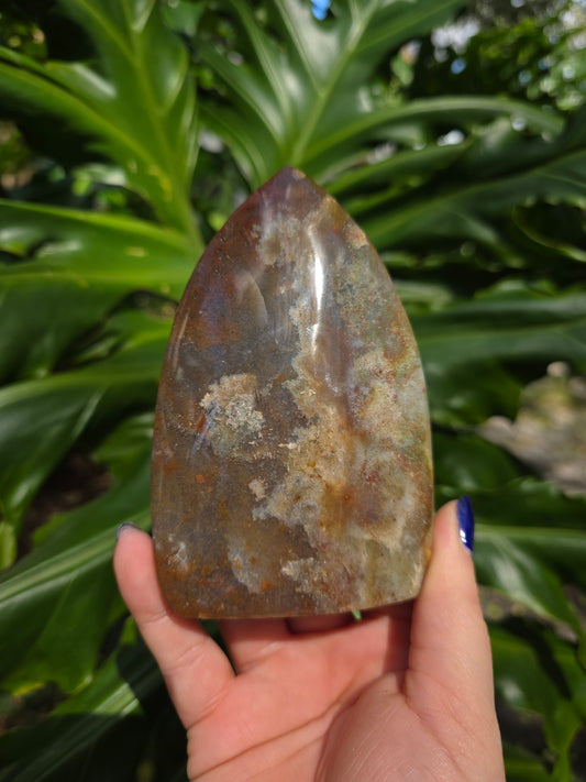 Veinless Ocean Jasper Teardrop • Option E • Madagascar