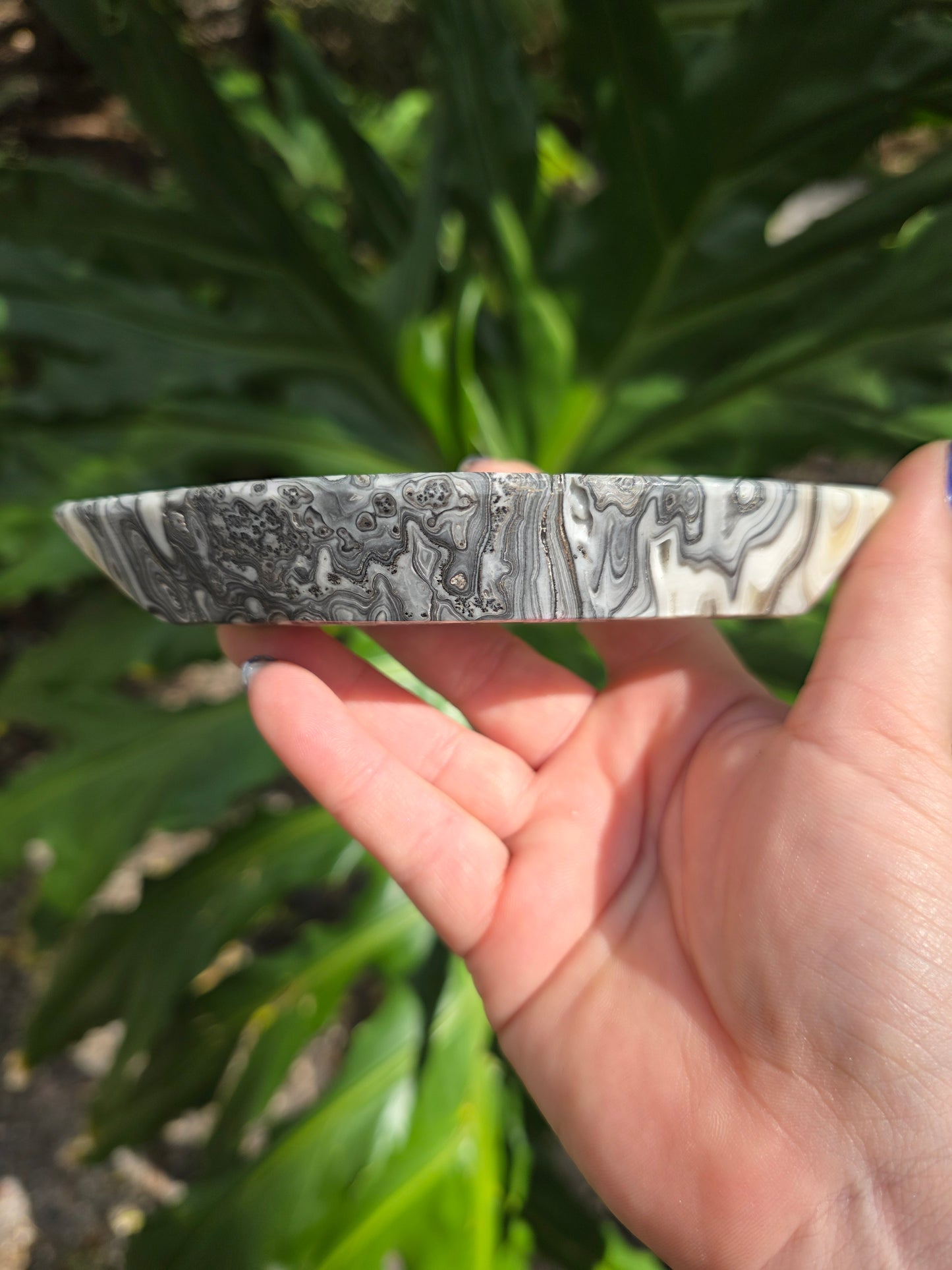 Onyx Seed Dish • Option A • Mexico