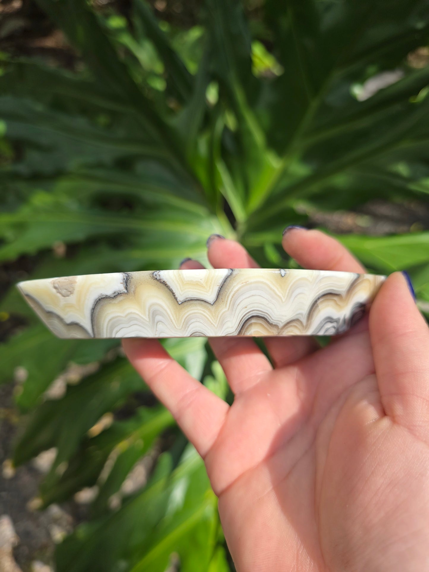 Onyx Seed Dish • Option A • Mexico