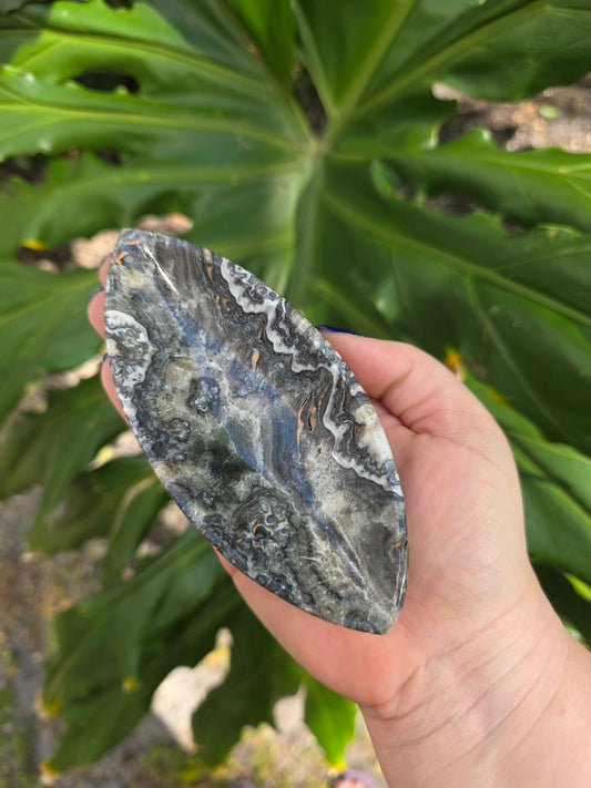 Onyx Seed Dish • Option D • Mexico
