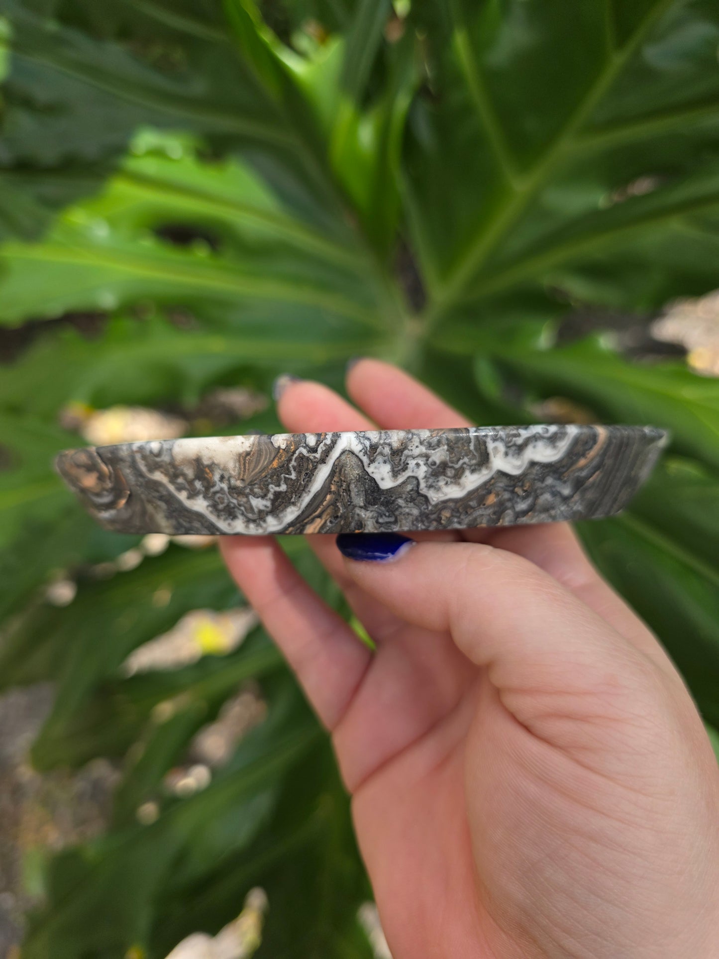Onyx Seed Dish • Option D • Mexico