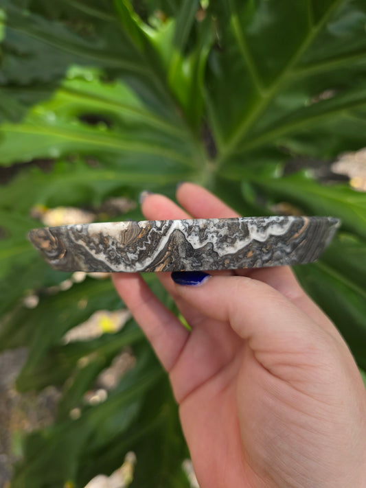 Onyx Seed Dish • Option D • Mexico
