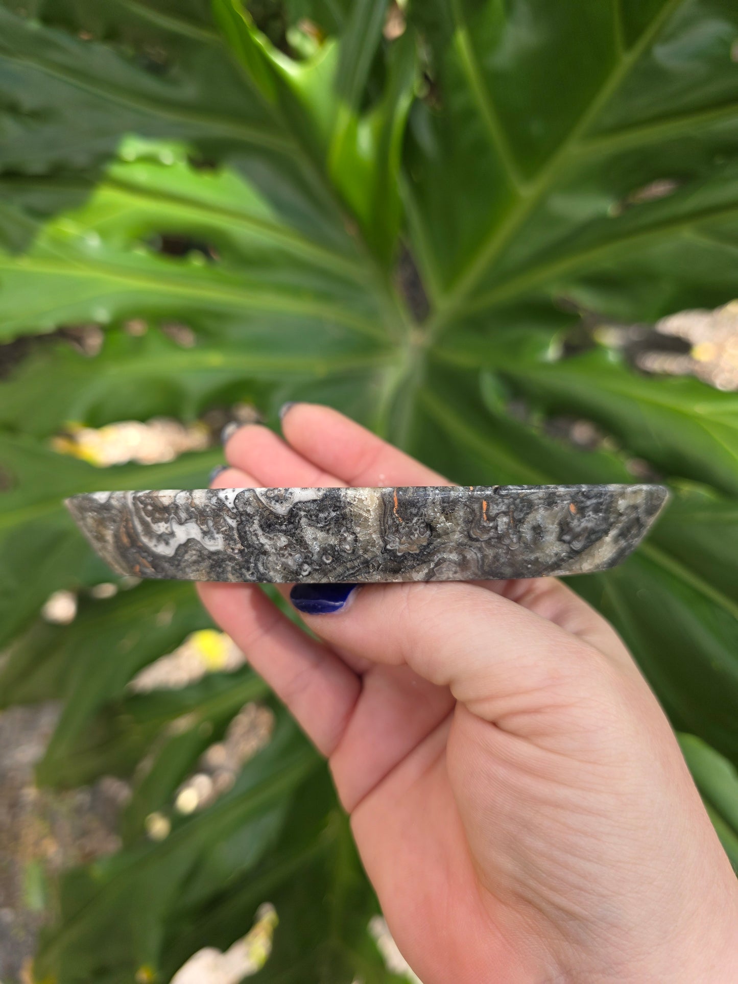 Onyx Seed Dish • Option D • Mexico