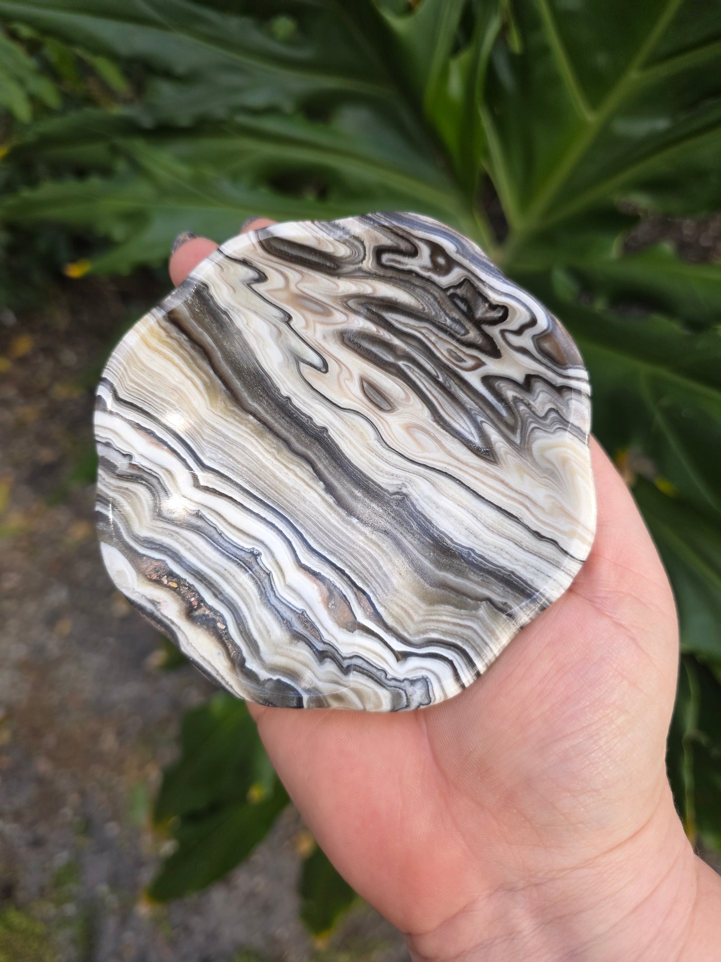 Onyx Margarita Display Plate • Option A • Mexico