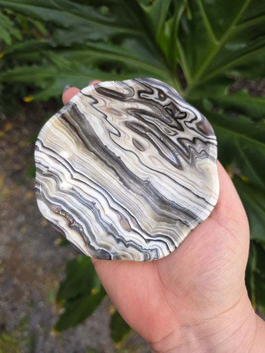 Onyx Margarita Display Plate • Option A • Mexico