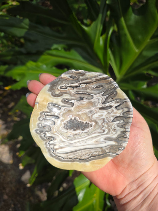 Onyx Margarita Display Plate • Option B • Mexico