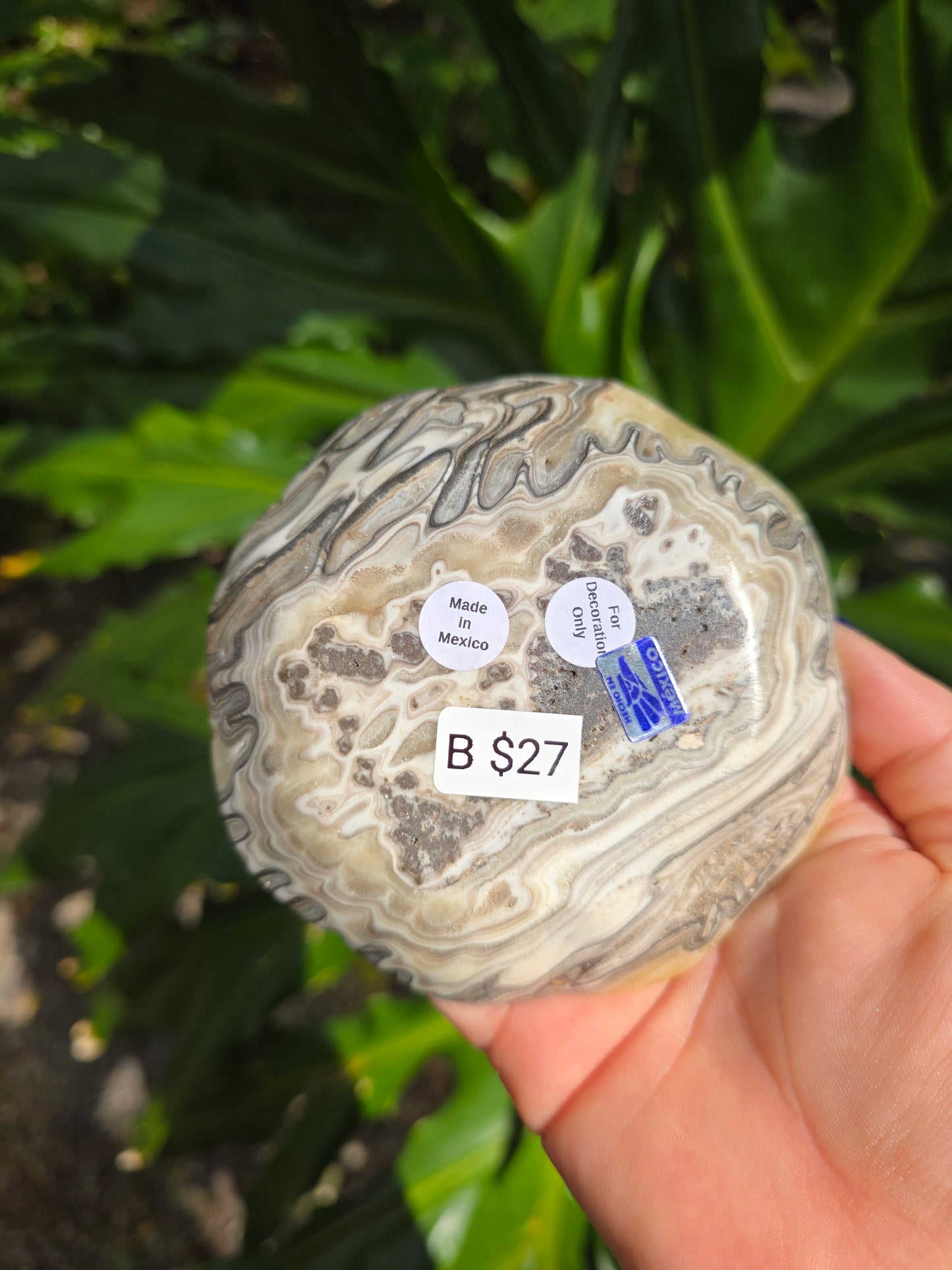 Onyx Margarita Display Plate • Option B • Mexico