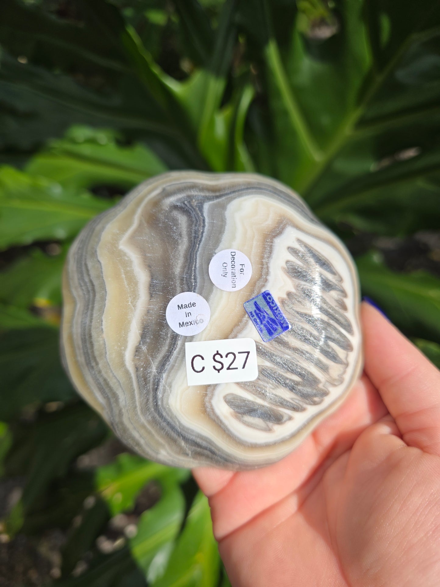 Onyx Margarita Display Plate • Option C • Mexico