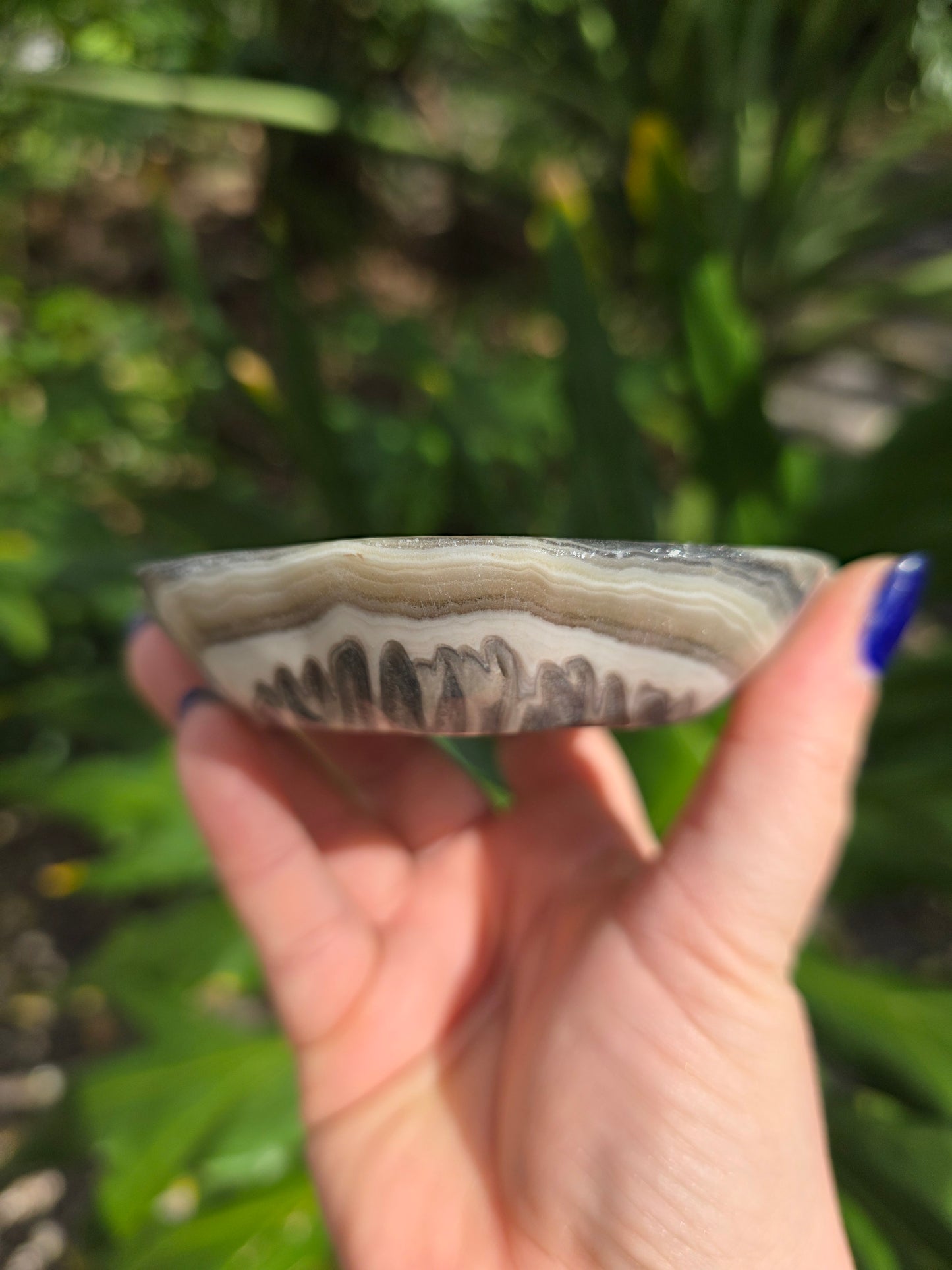 Onyx Margarita Display Plate • Option C • Mexico
