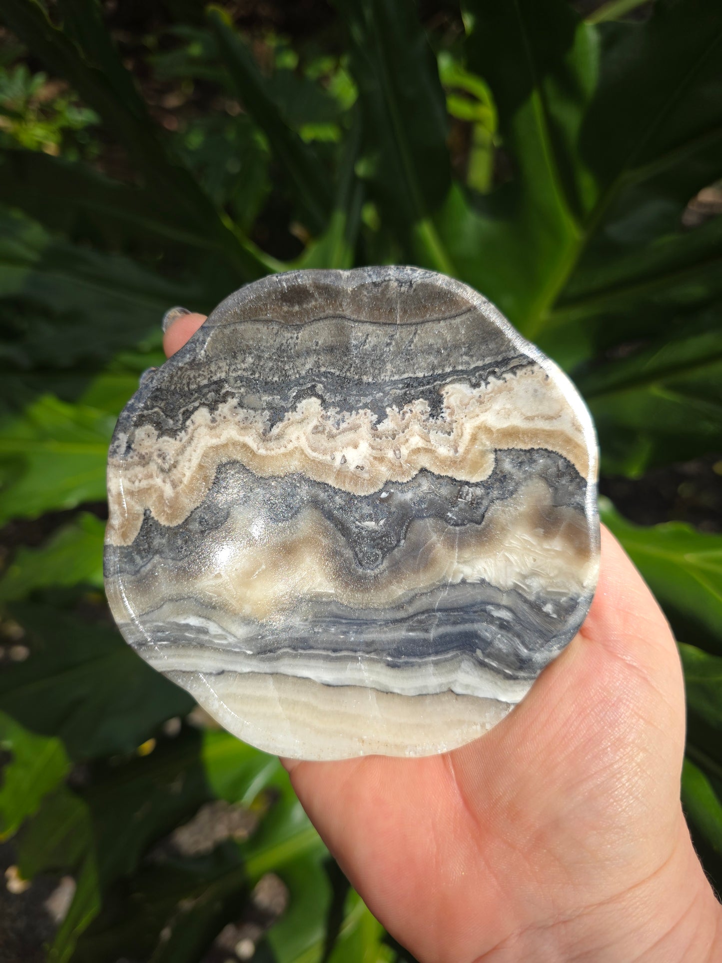Onyx Margarita Display Plate • Option E • Mexico