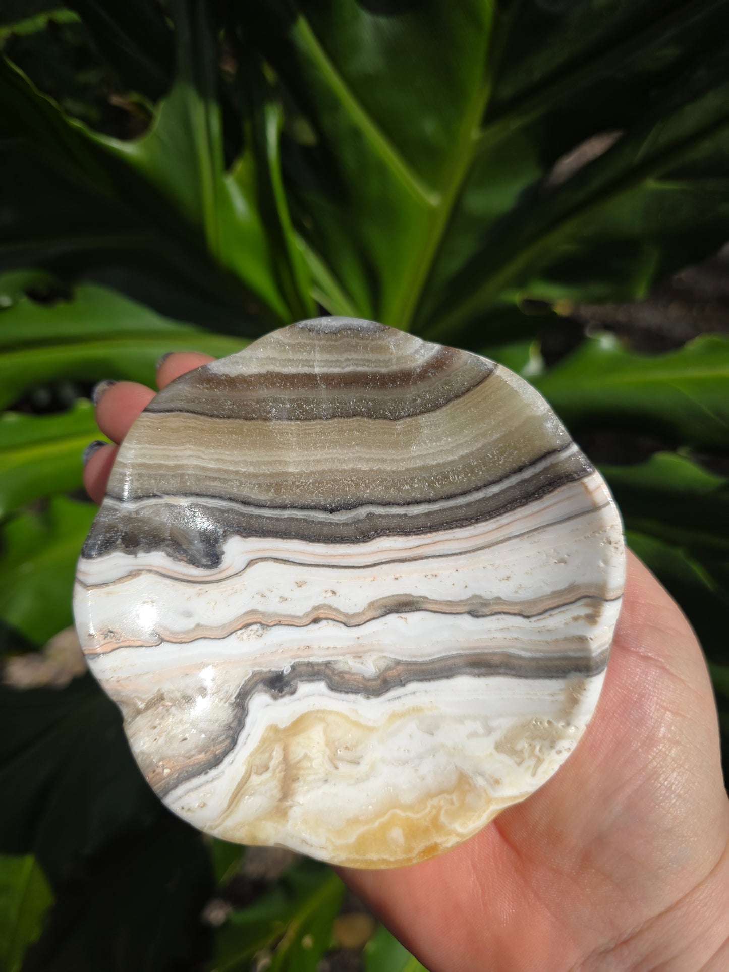 Onyx Margarita Display Plate • Option F • Mexico