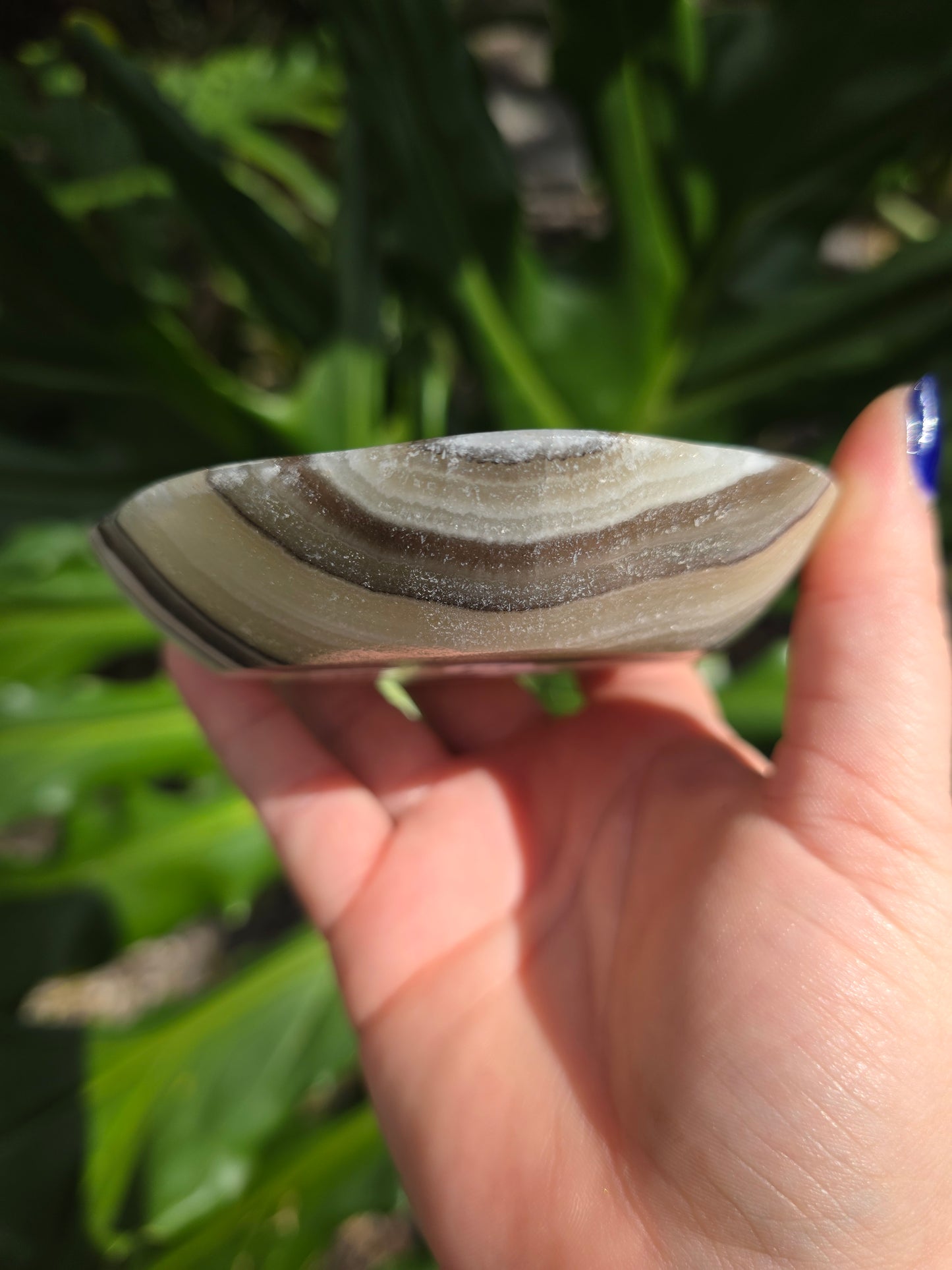 Onyx Margarita Display Plate • Option F • Mexico