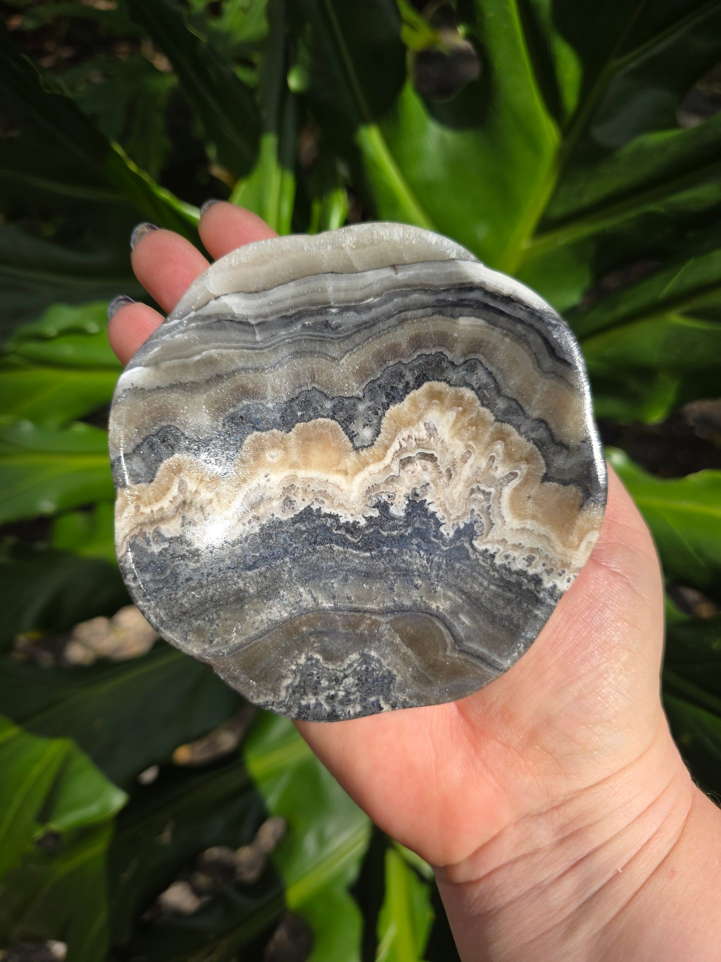 Onyx Margarita Display Plate • Option G • Mexico