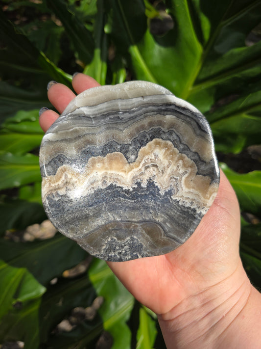 Onyx Margarita Display Plate • Option G • Mexico