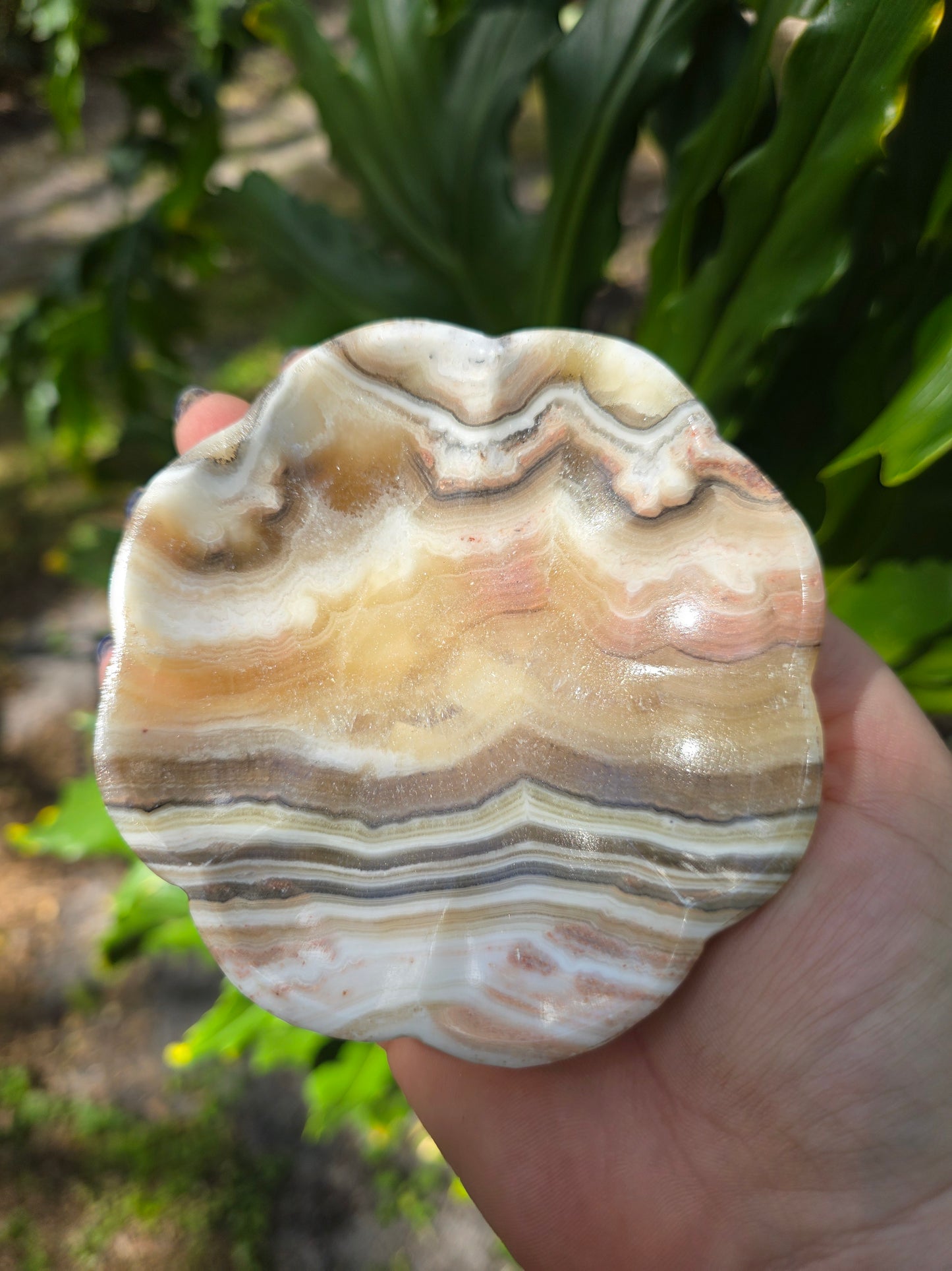 Onyx Margarita Display Plate • Option H • Mexico