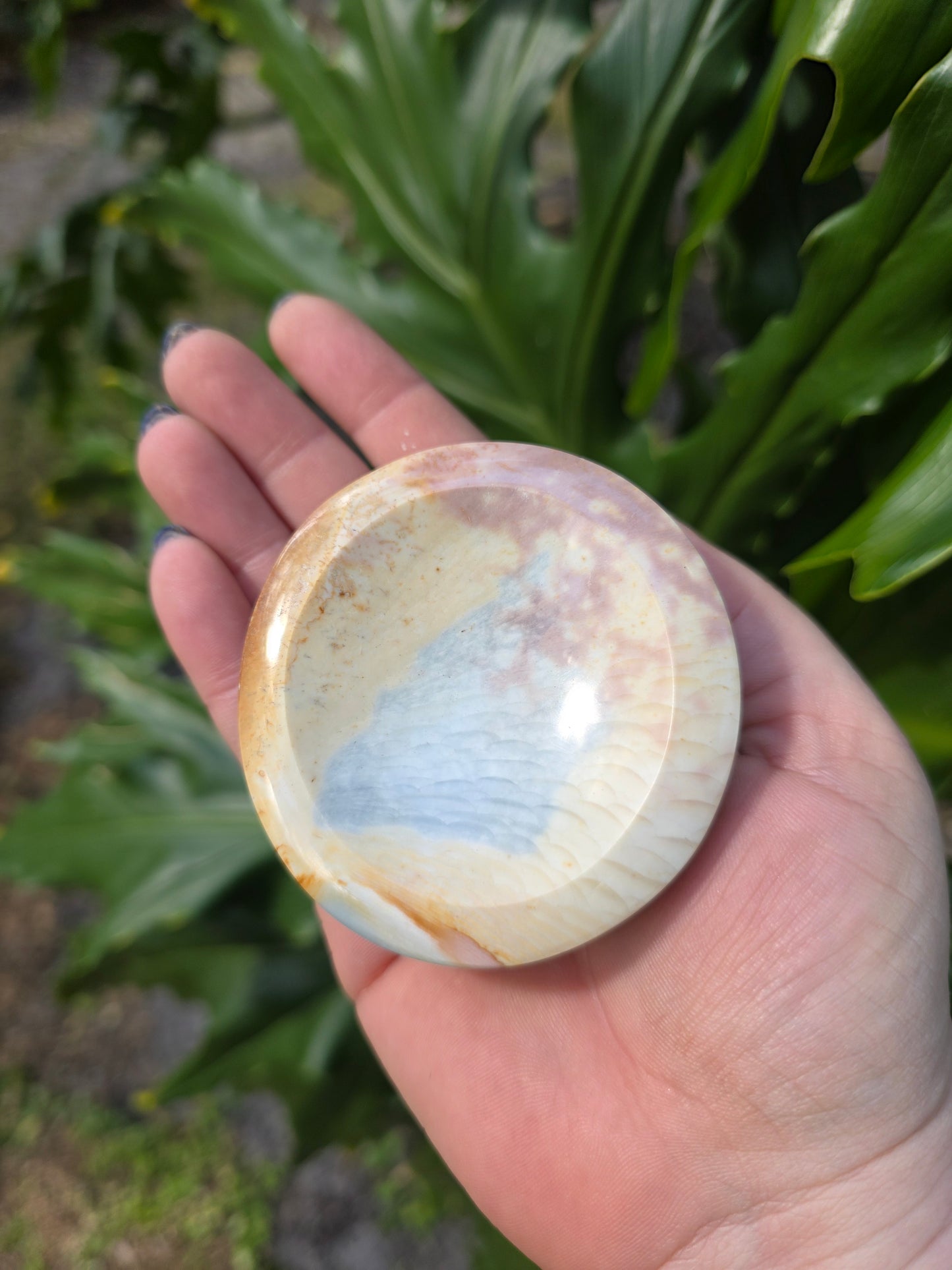 Polychrome Jasper Bowl • Option F