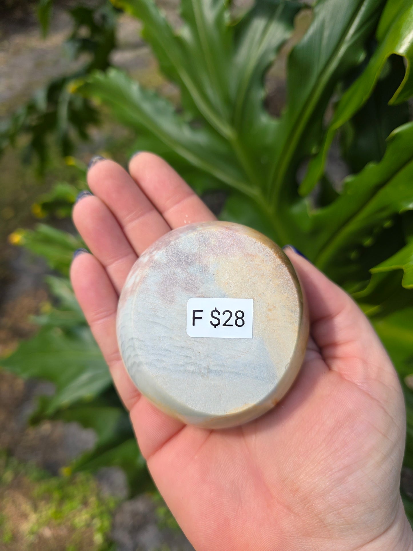 Polychrome Jasper Bowl • Option F