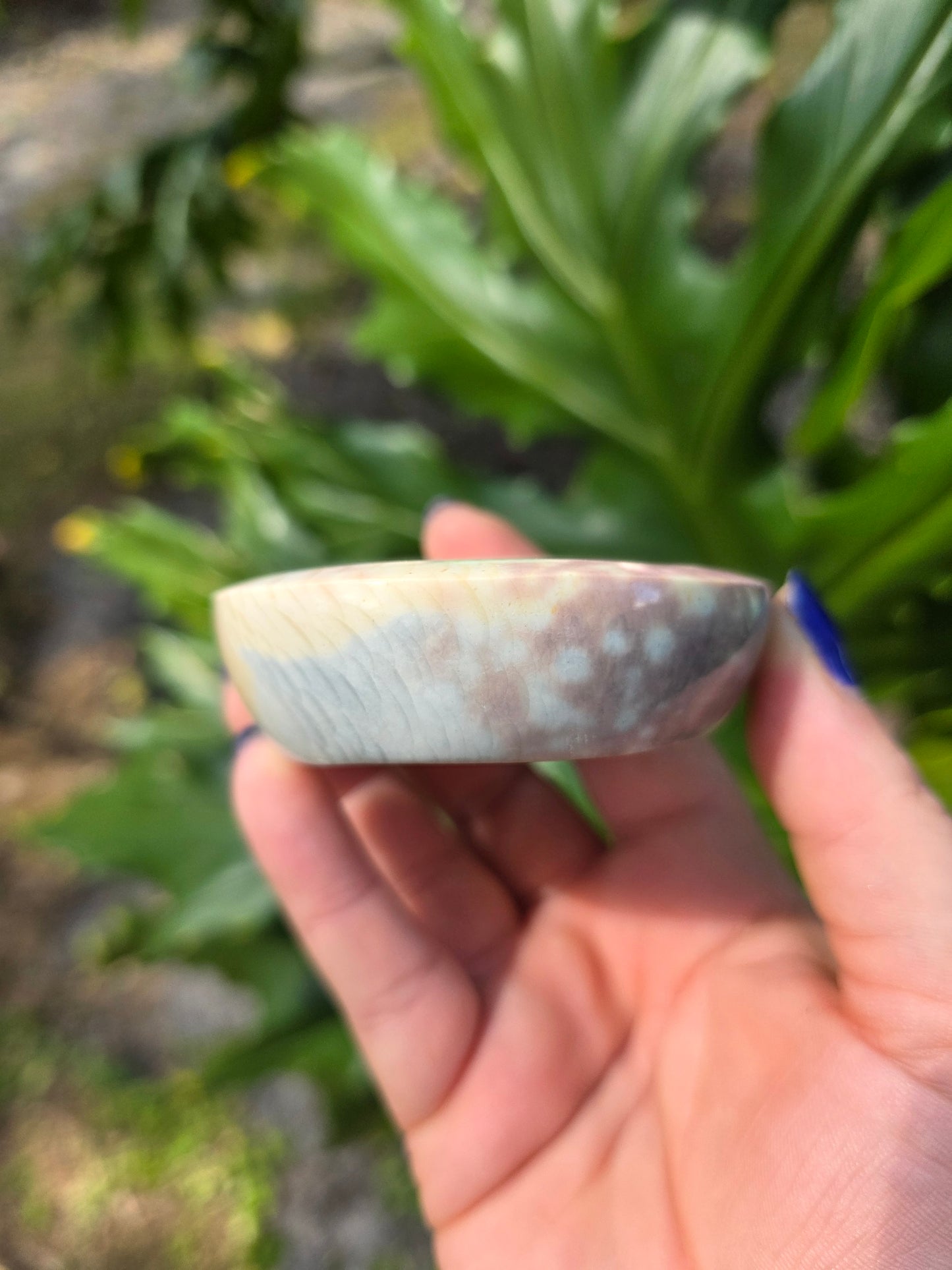Polychrome Jasper Bowl • Option F